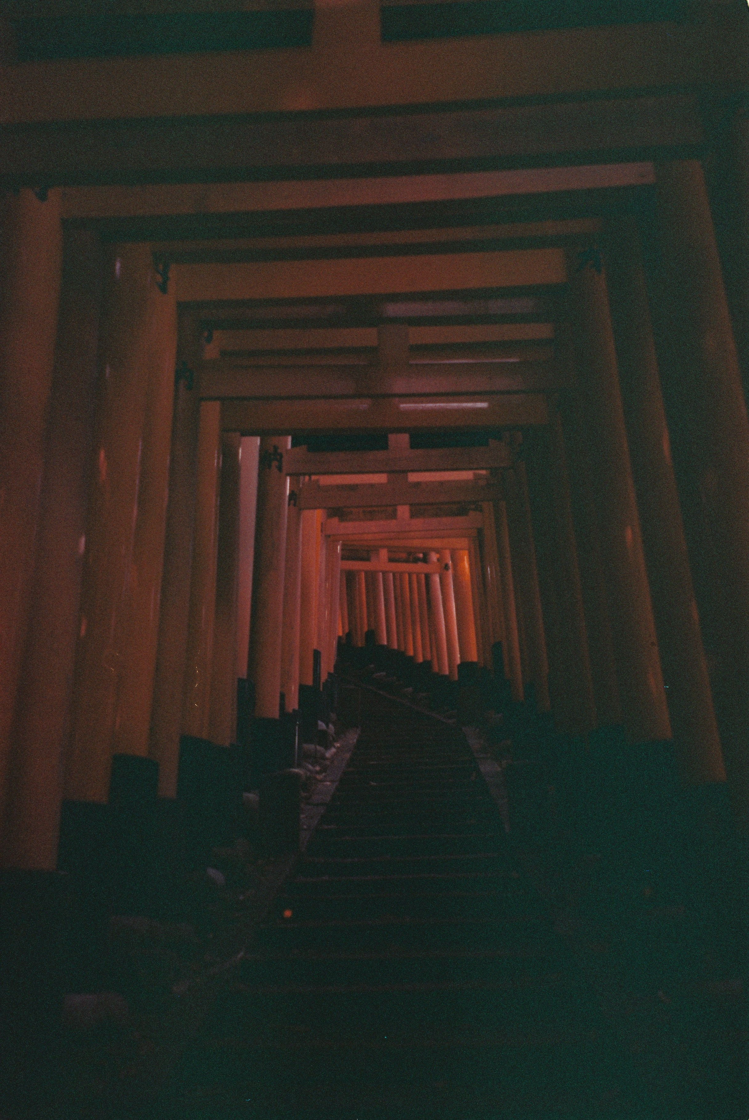 Пленка. Фотограф Алина Диева Москва | Токио