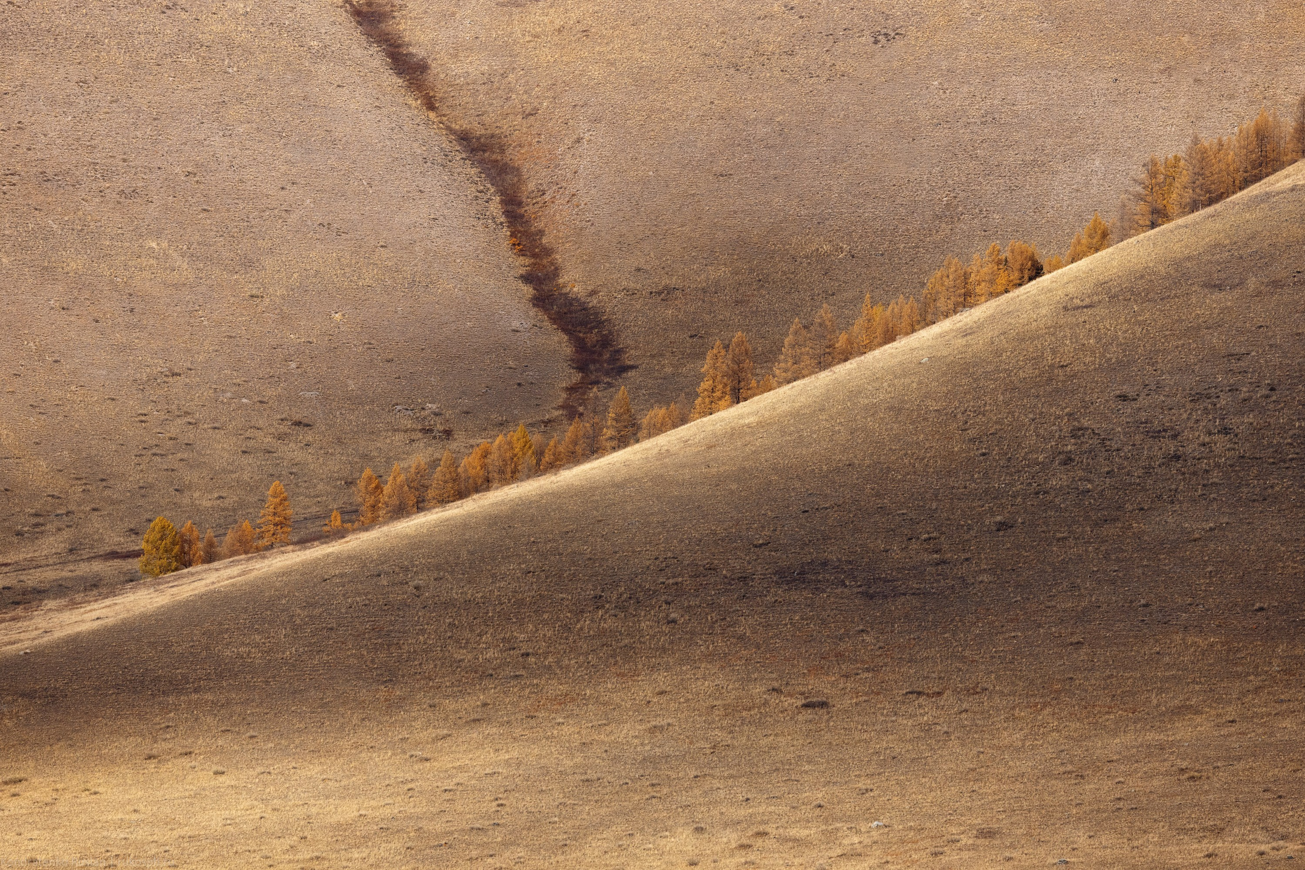 Горный Алтай. Архитектурный и пейзажный фотограф Кондратенко Руслан, Санкт-Петербург
