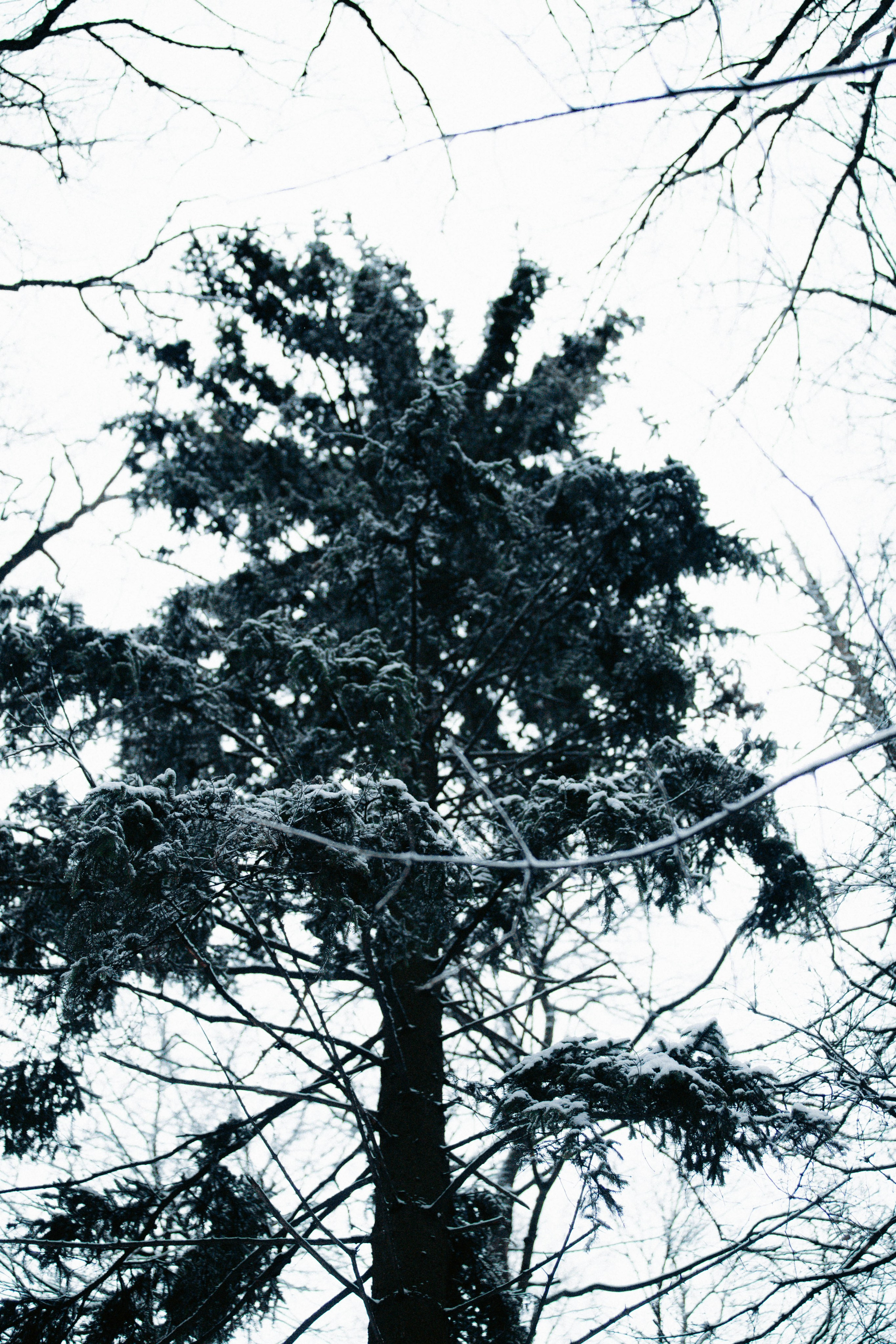 Марафон у дома_Бунино. Александра Мельниченко/ Бегающий фотограф
