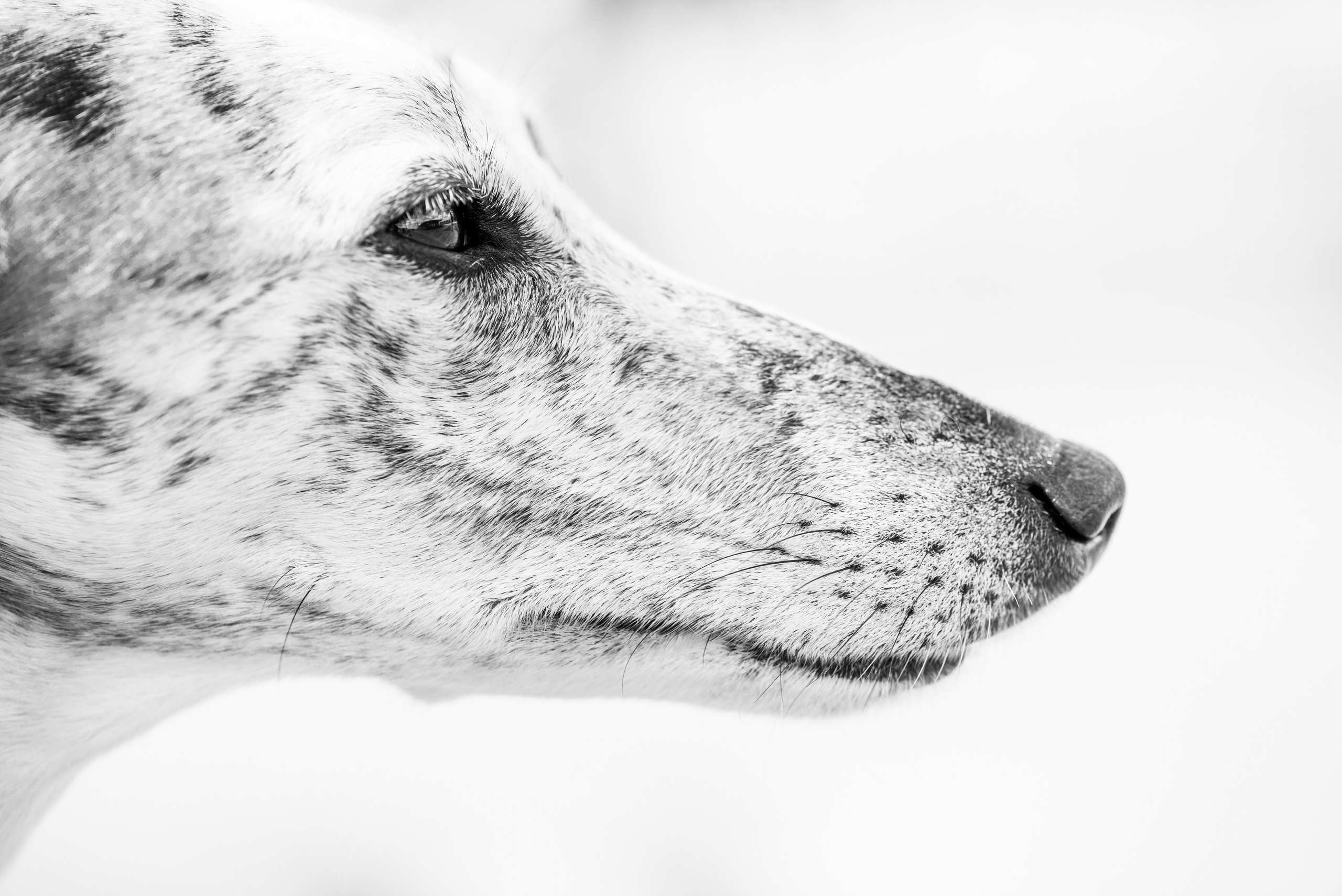 Контакты. Фотограф Мария Денисова