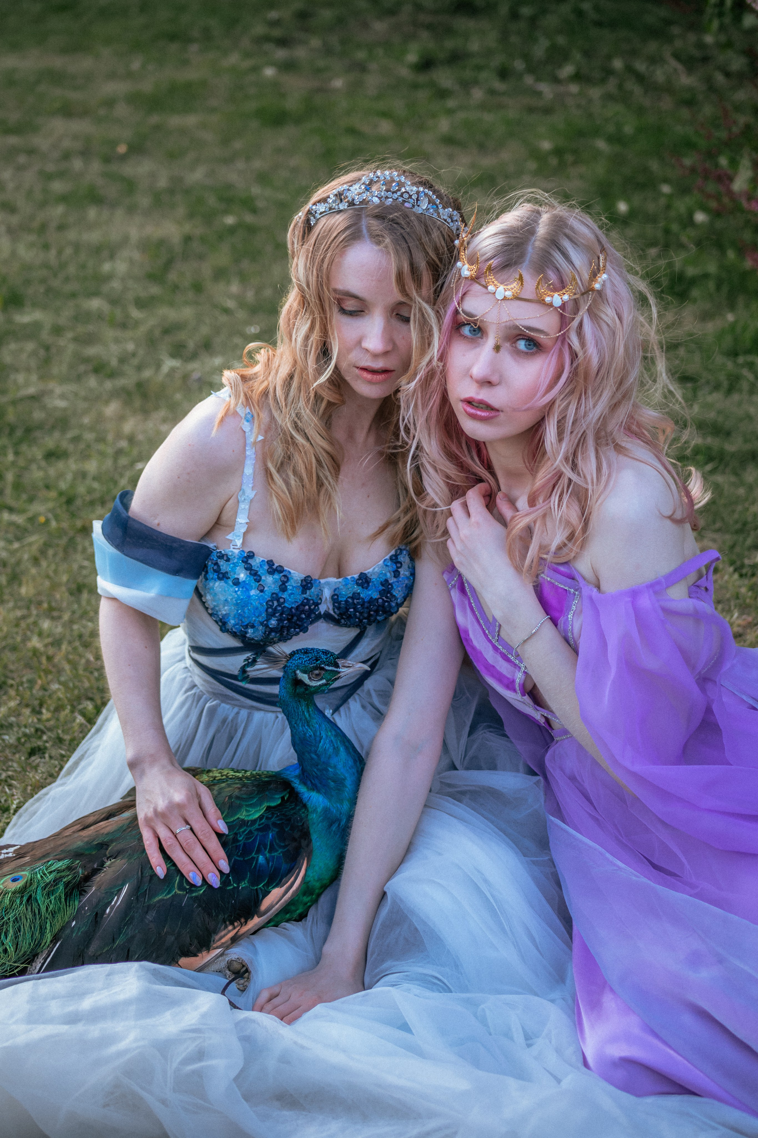 Павлин. Elena Sova — семейный и женский фотограф в Санкт-Петербурге