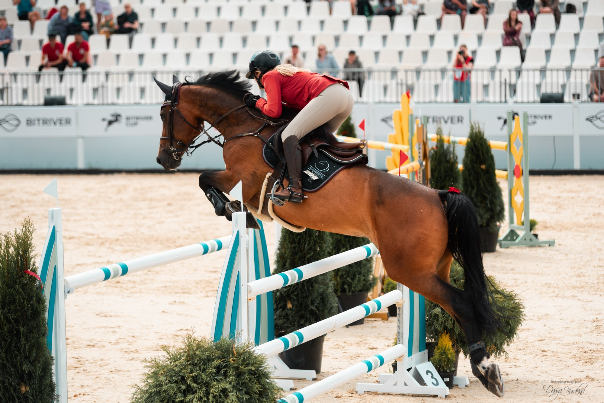 BITRIVER CUP 2023. Конный фотограф Куракина Дарья • Фотосессии с лошадьми