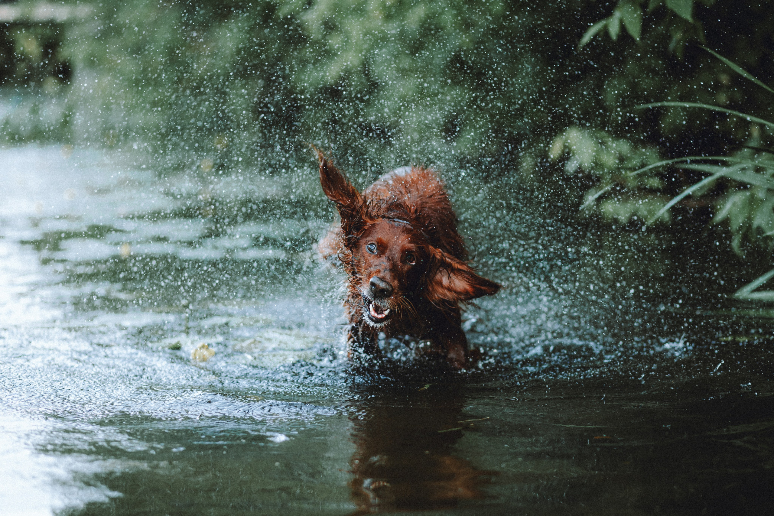 Маша и Джерри