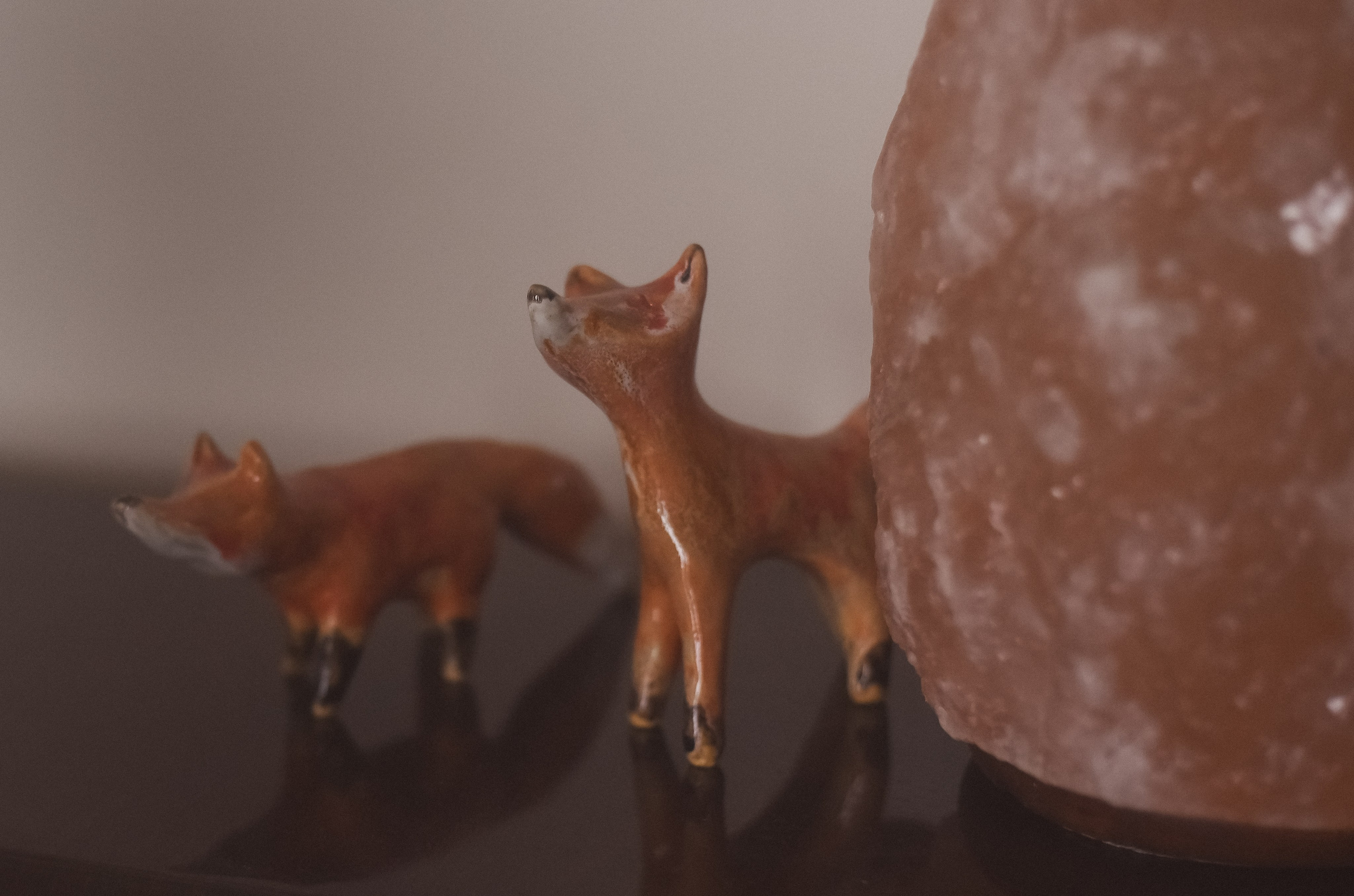 Любовь на просторах. Детский и семейный фотограф в Новосибирске Саша Дорошенко