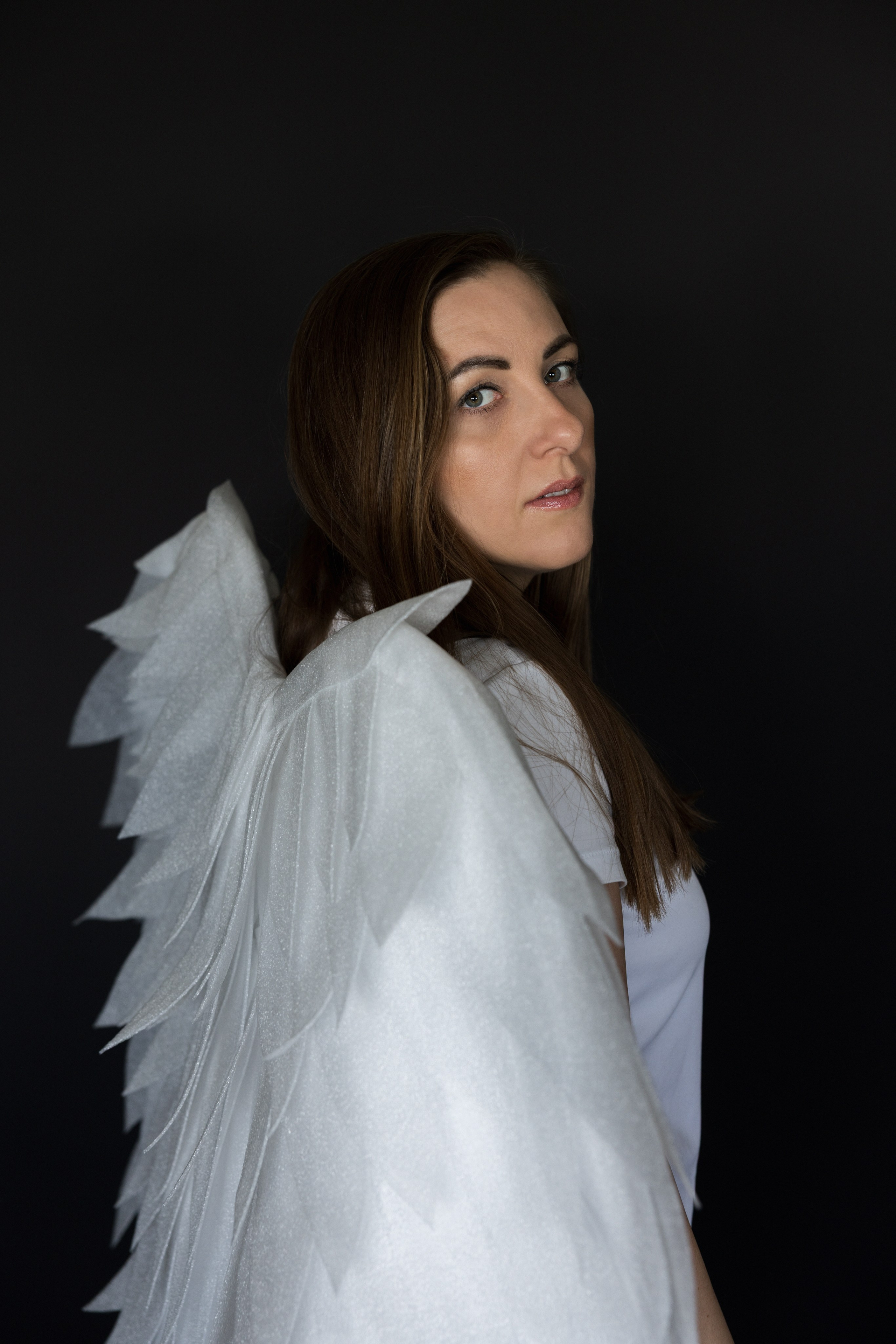 Предисловие. Главная