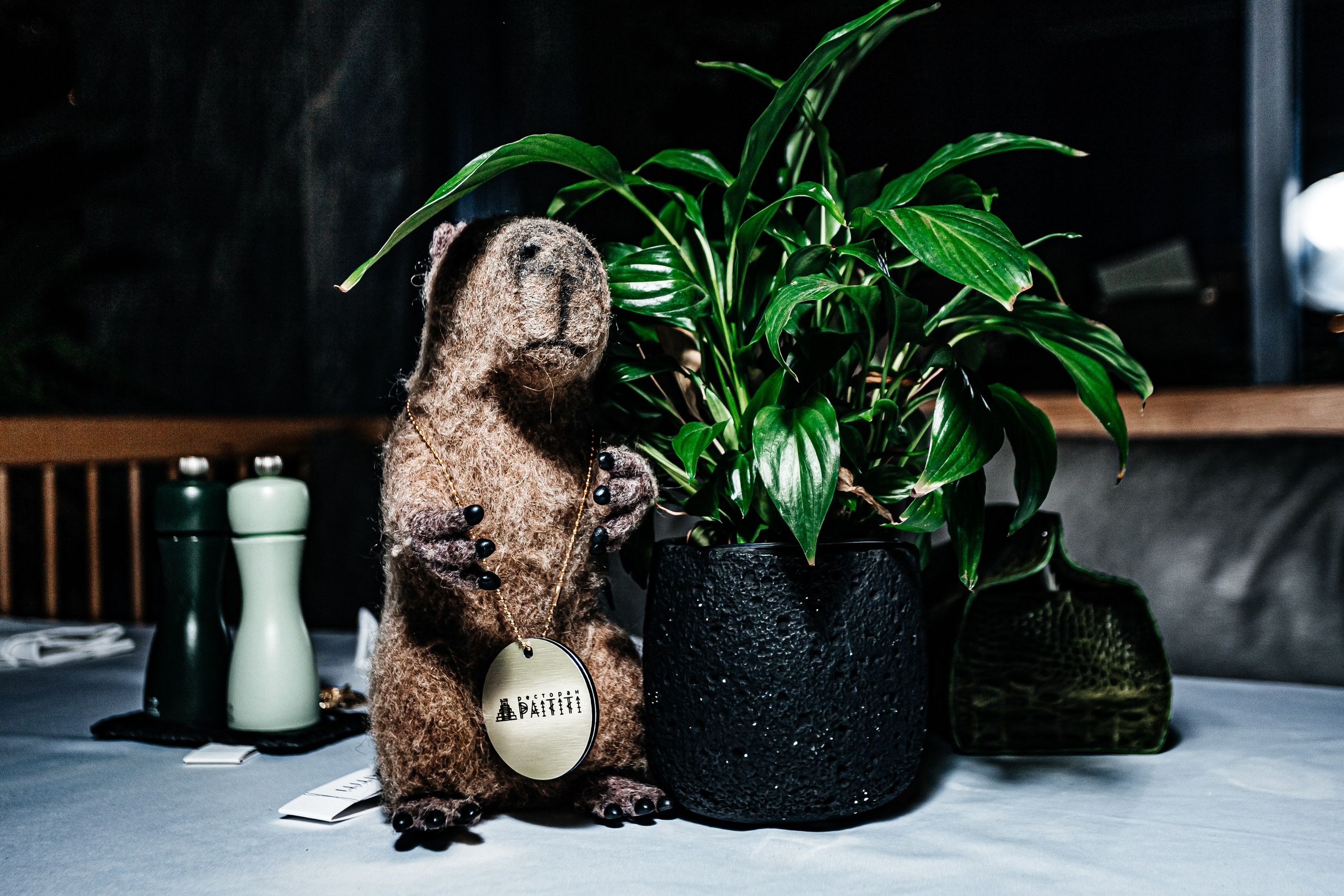 Paititi_Ялта_17.08.2024. Аминов Руслан | Фотограф