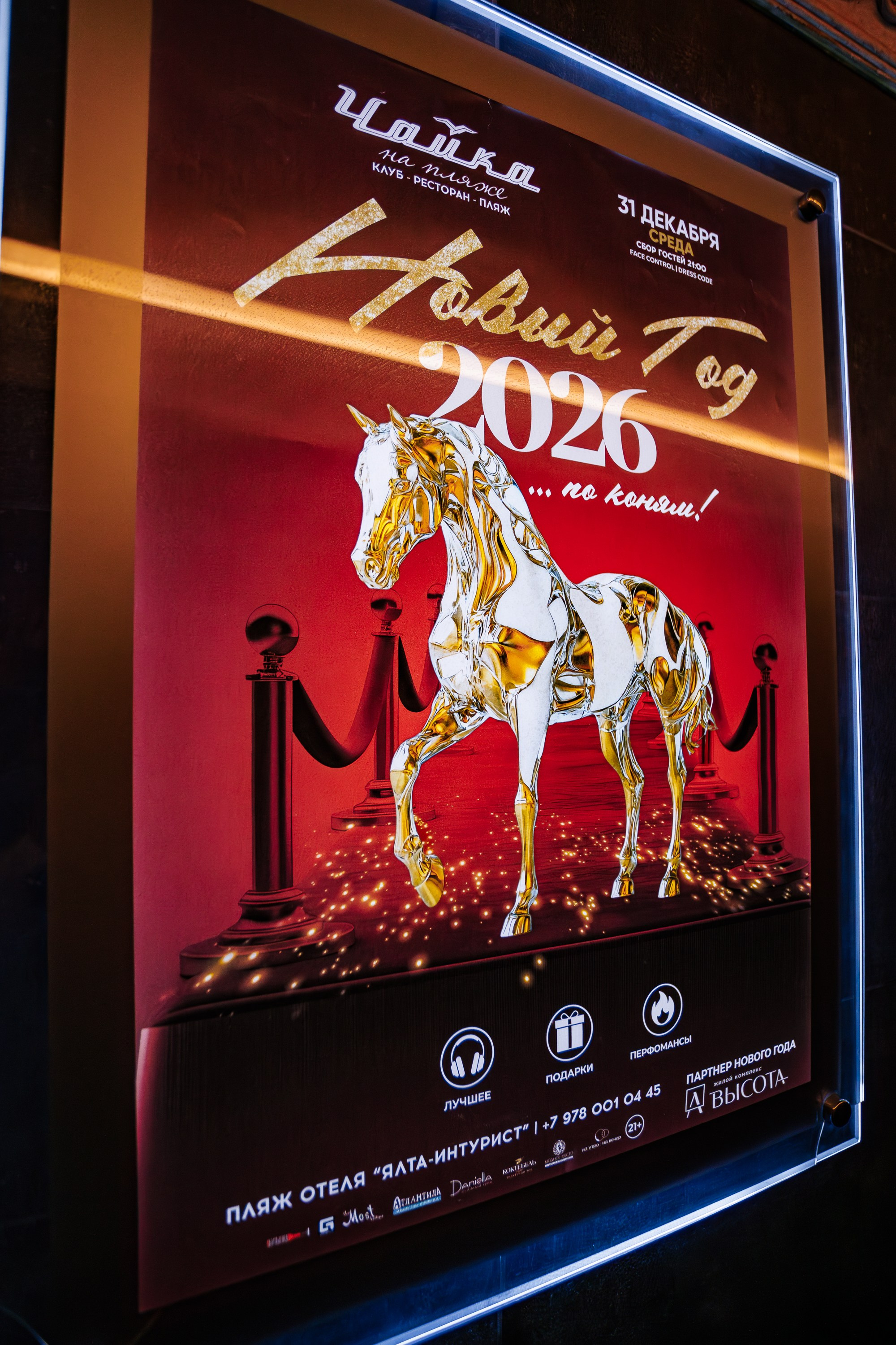 «Magic of BONEY`M «_Чайка на пляже_Ялта_06.12.2025 г. Аминов Руслан | Фотограф