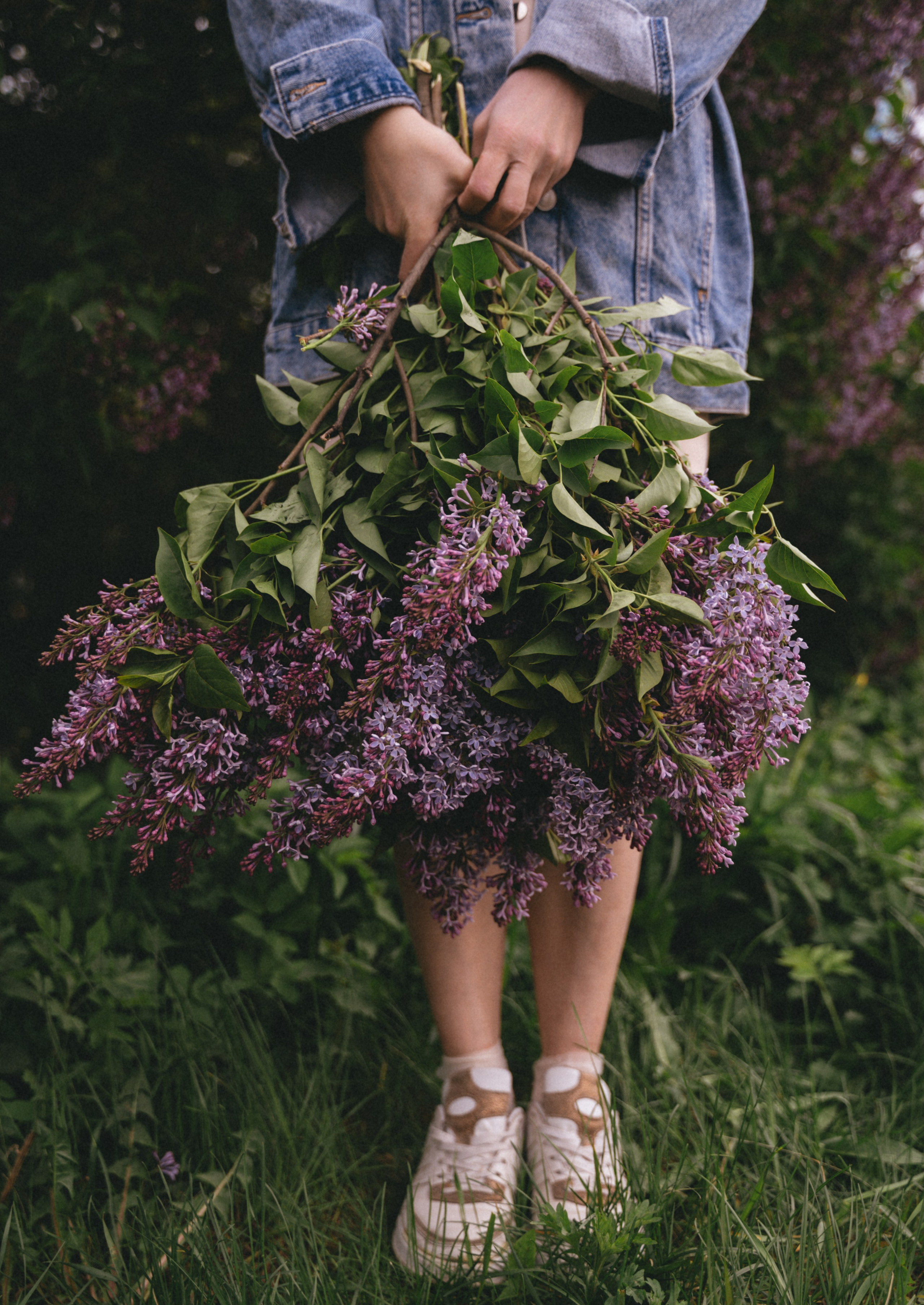 Сирень…. FotoTanya. Раменское/Жуковский/Бронницы