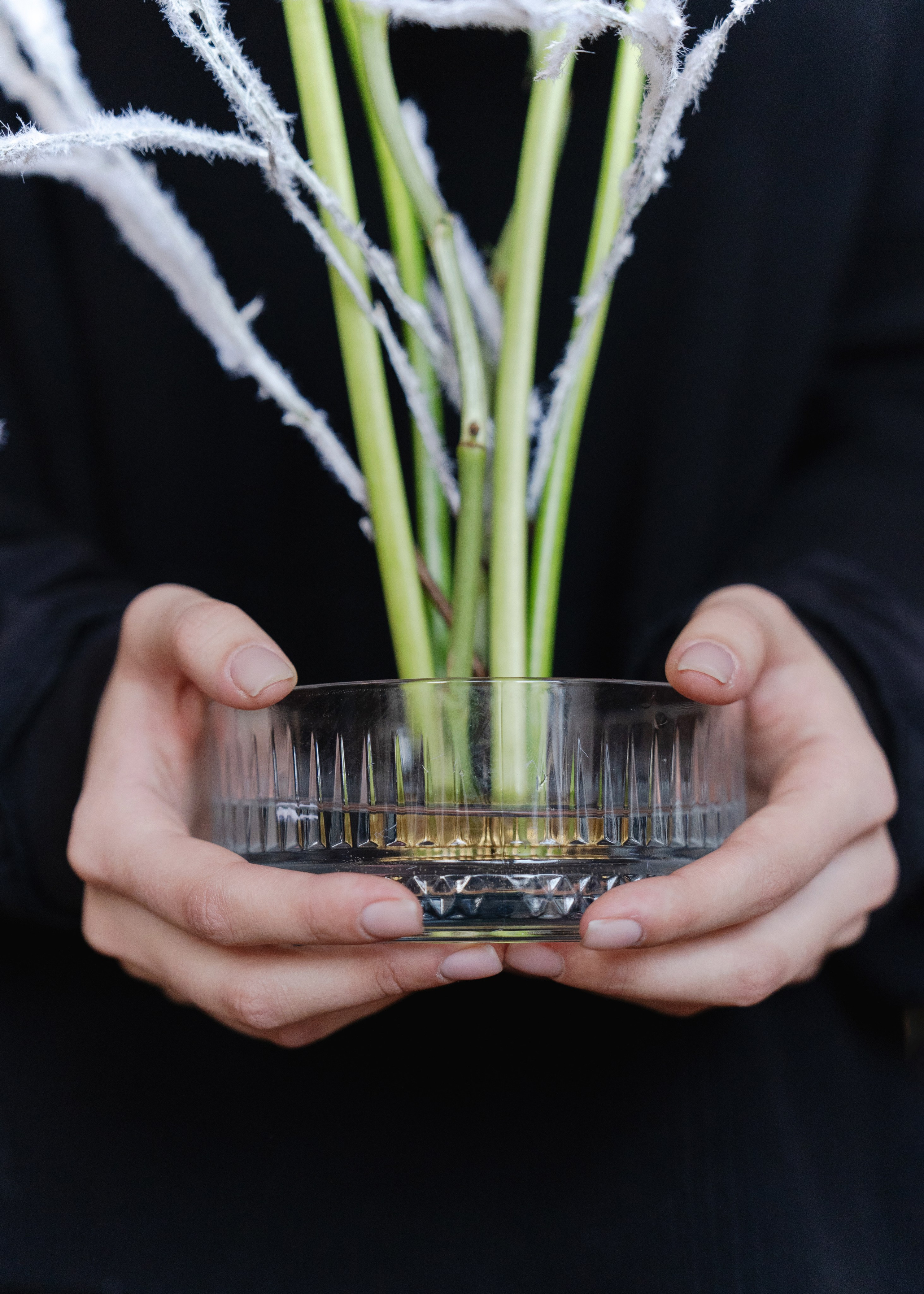 Цветочный мастер-класс. Портретный и репортажный фотограф Настя Климачева