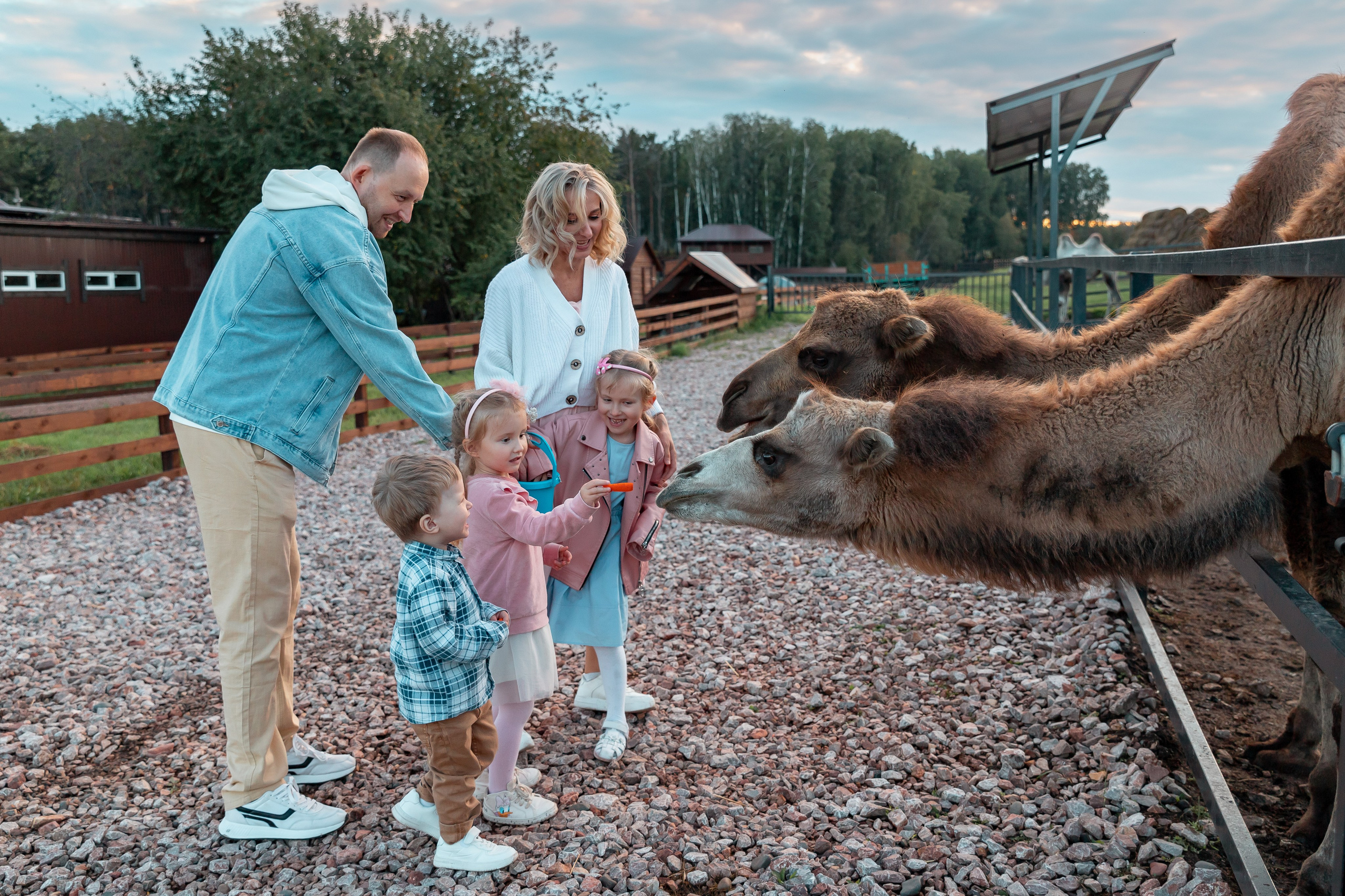 Семейная прогулка на ранчо. Детский и семейный фотограф в Красноярске Юлия Бирюкова