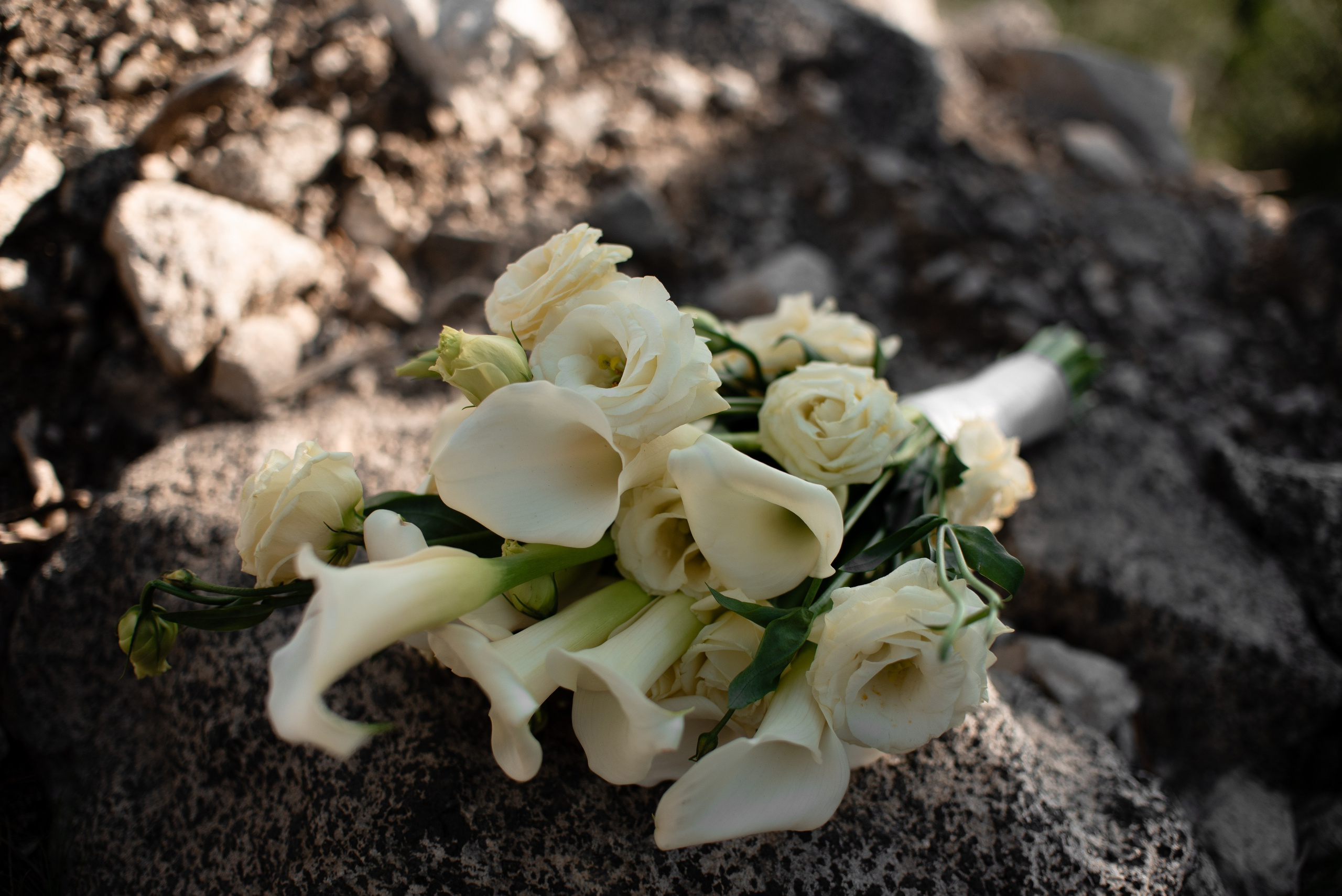 Анна и Роман. Фотограф Галина Рагозина