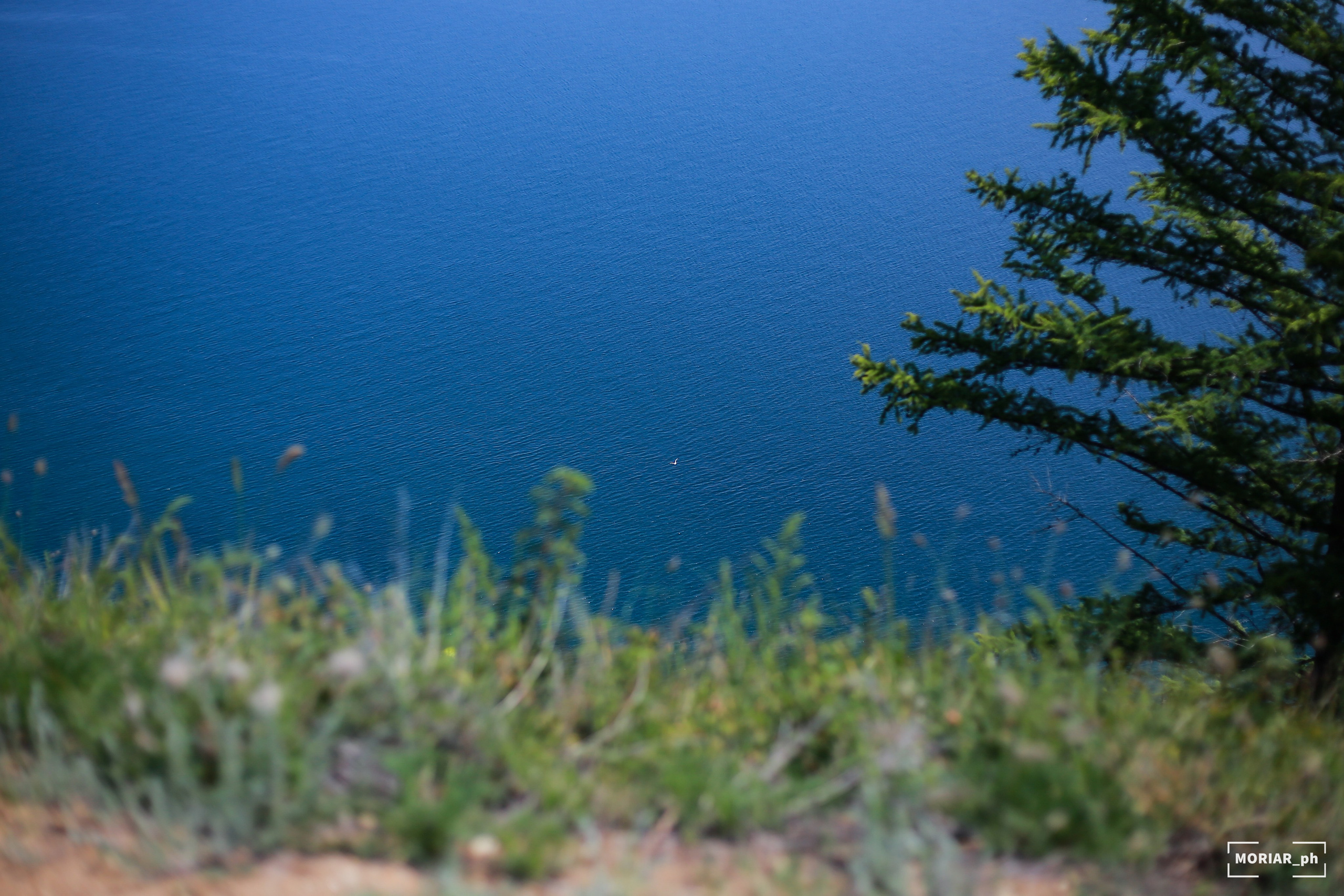 Отпуск. Портретный и репортажный фотограф в Кемерово Алексеева Анастасия