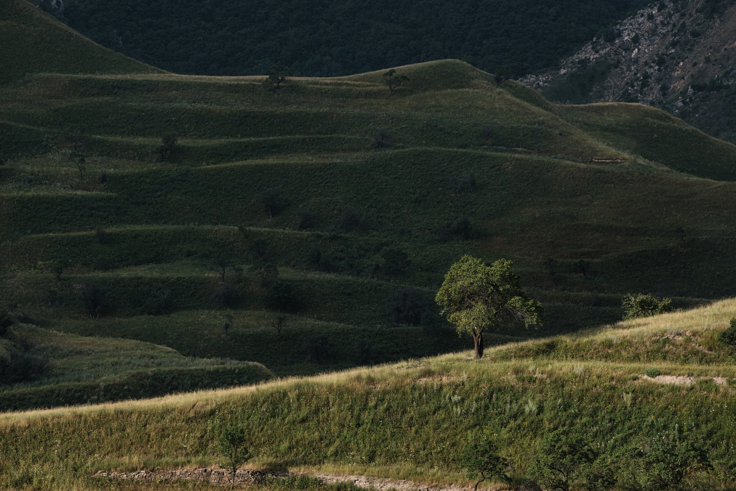 Фотографии горного Дагестана: величественные каньоны, изумрудные реки, древние башни и террасные склоны. Природа и архитектура республики в мягком свете рассветов и закатов, снятые с дрона и земли, передающие дух и масштаб Кавказа. Фотограф Константин Шамин