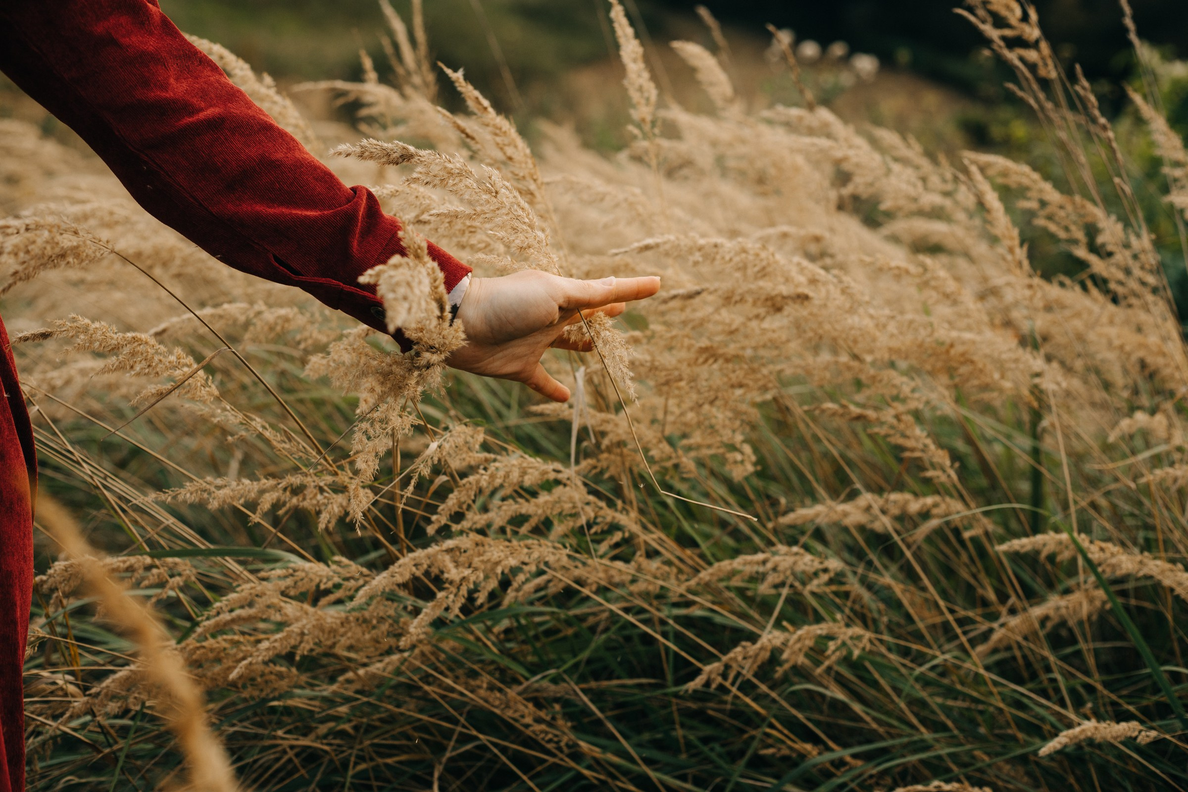 Оксана. Женский и репортажный фотограф Москва Натали Смирнова