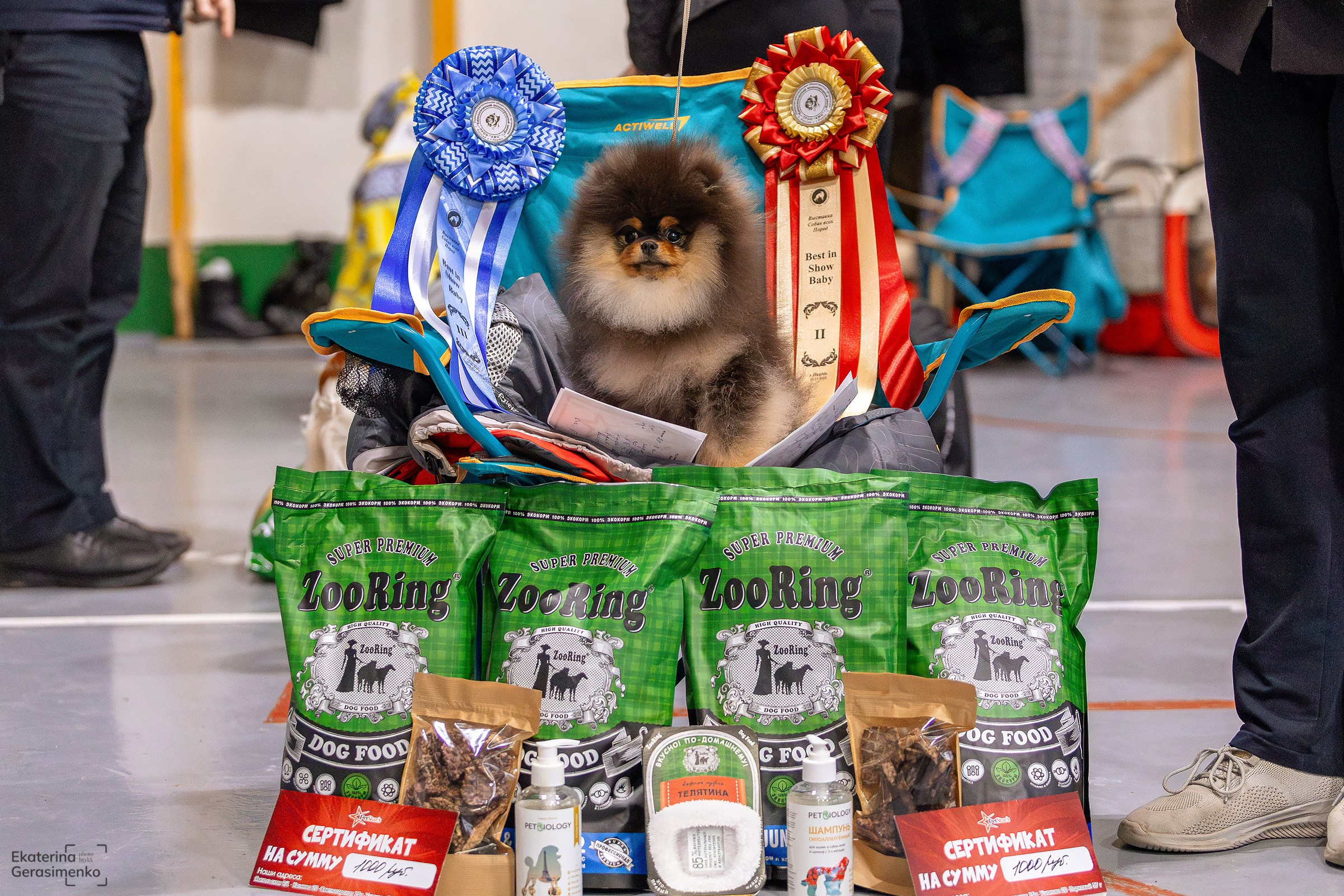 23 ноября 2024, Выставка РКФ, г. Пермь. Htykk_photo