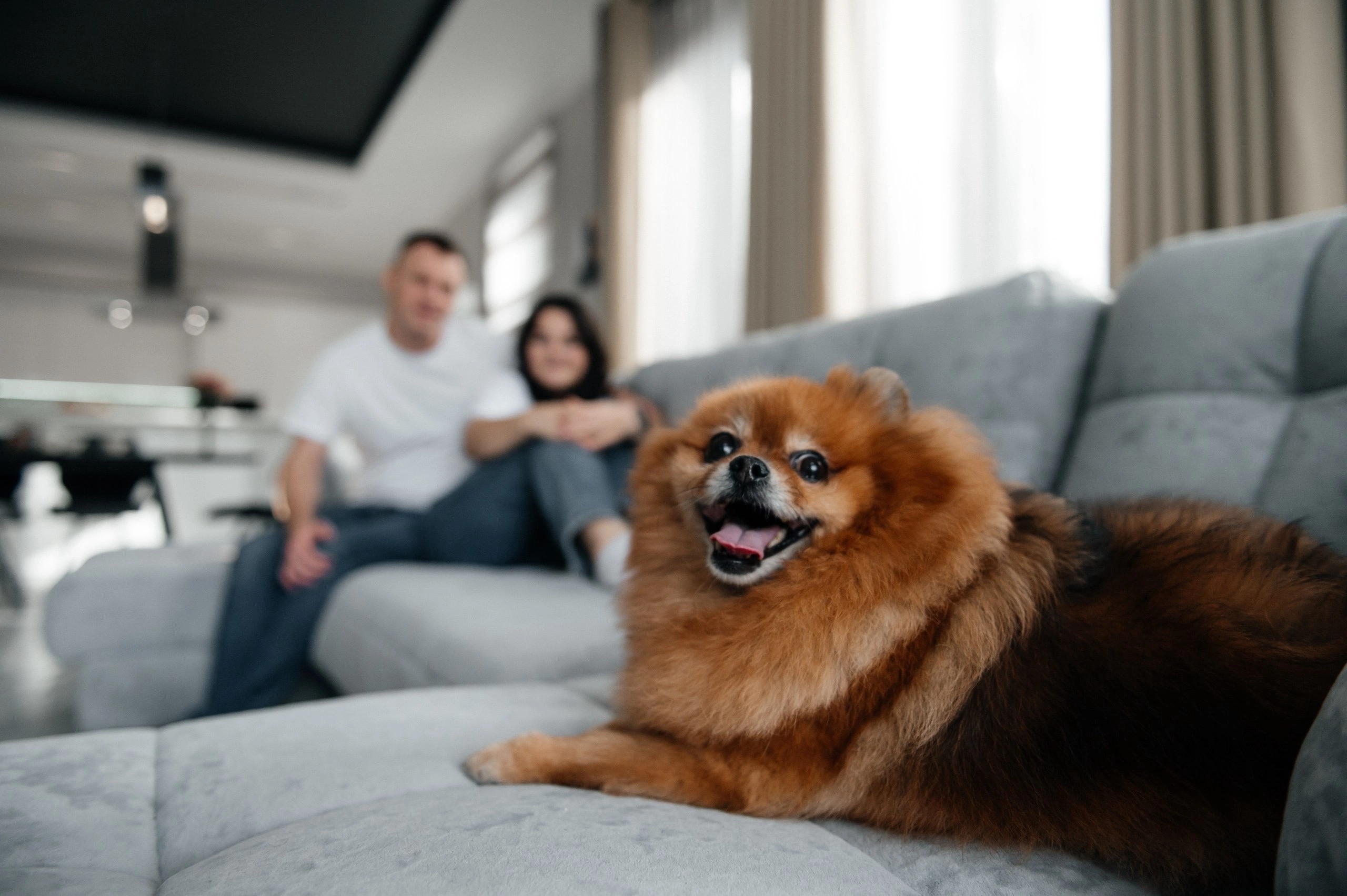 Семейные съемки. Фотограф Марина Лысова