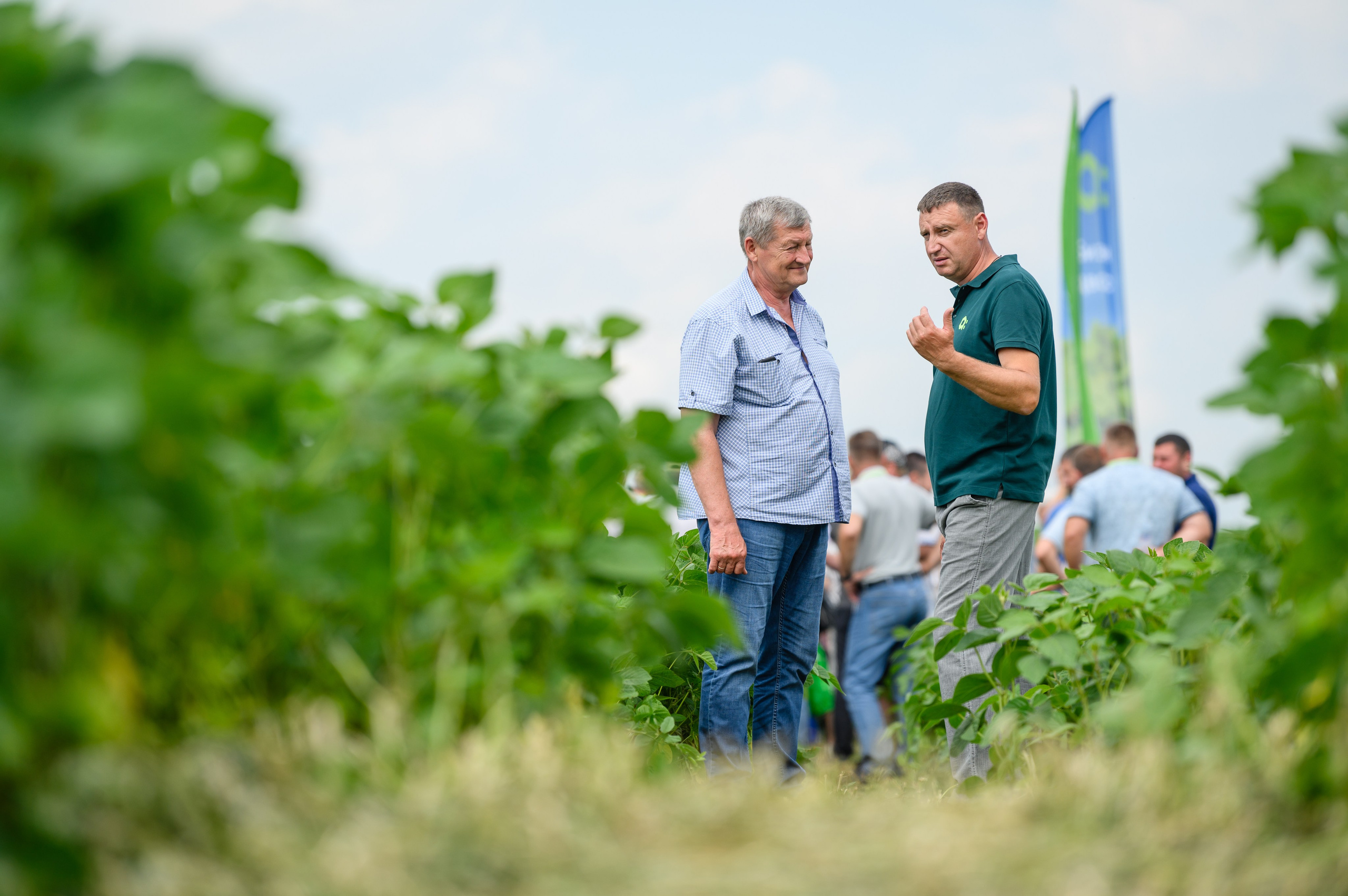 Проекты. Профессиональный фотограф Вячеслав Плацында | Липецк |