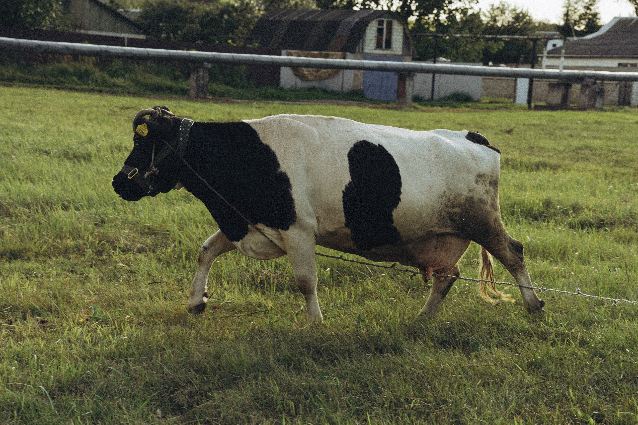 Вика и Алиса. Фотограф Санкт-Петербург/Гомель Виктория Петрова