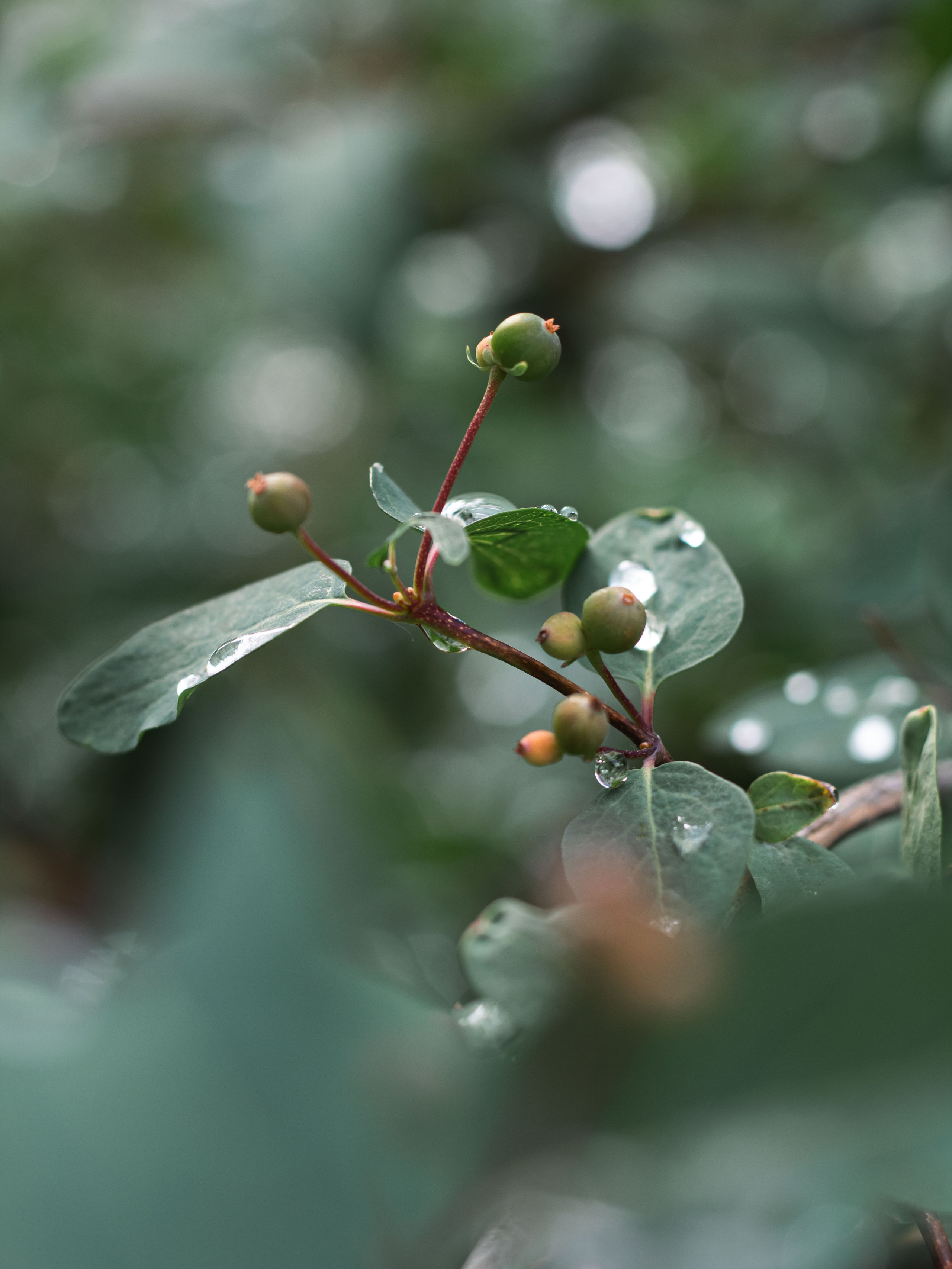 После дождя. Dmitriy [KCCC] is a pretty cool photographer