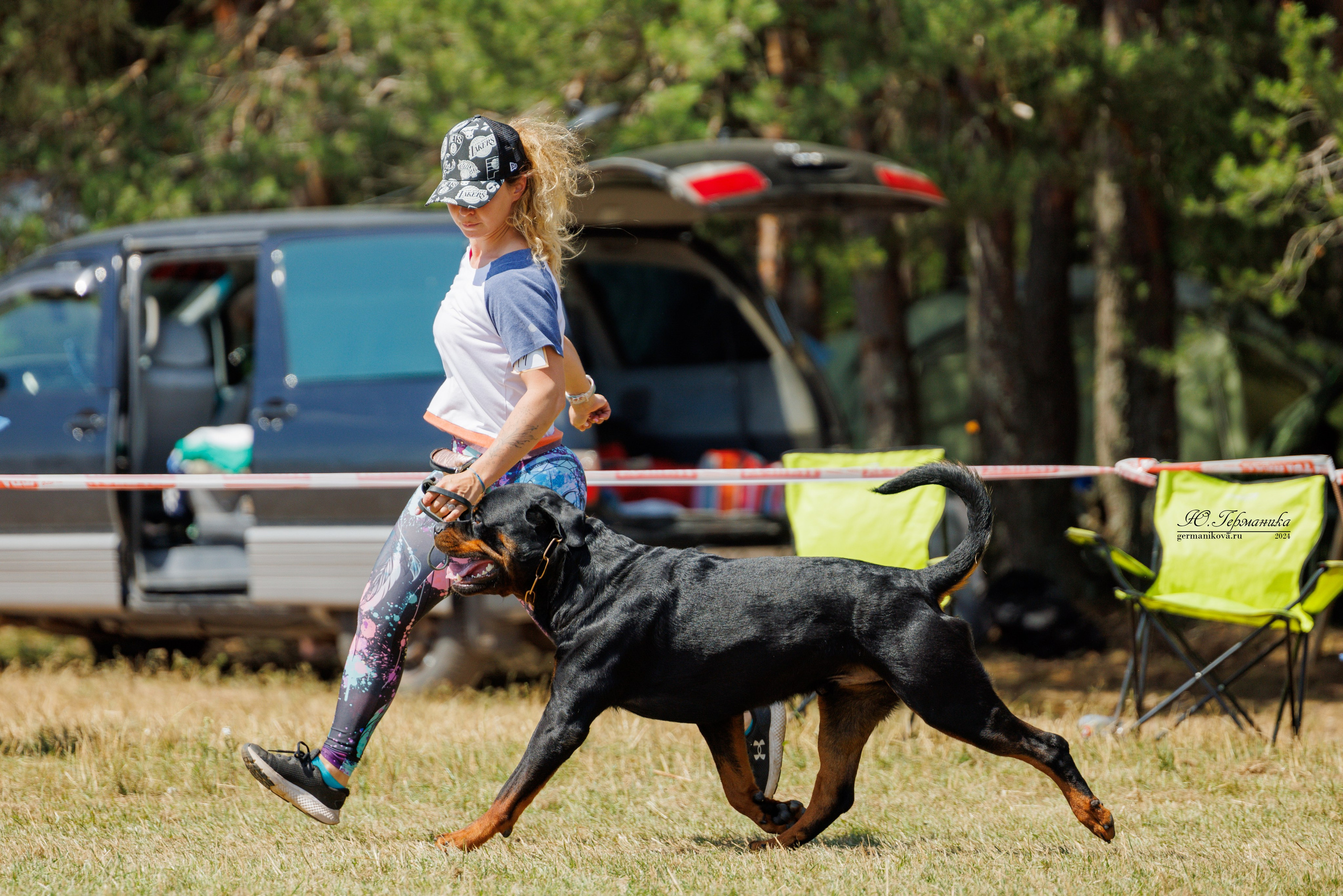 ПК и КЧК ротвейлеры Тверь 6-7.07.2024. Фотограф-анималист Юлия Германика