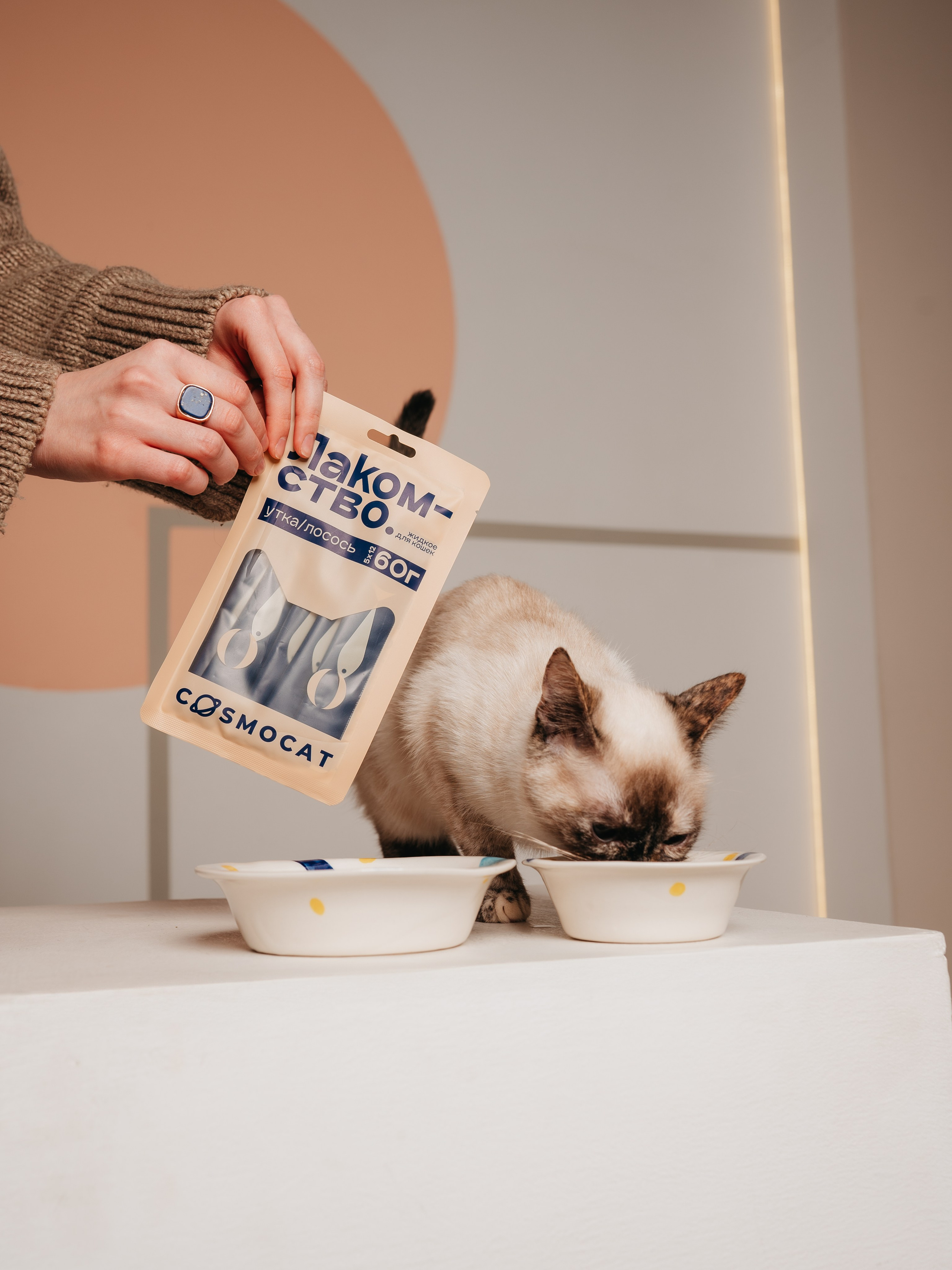 Cosmodog. Миски и лакомства. Семейный фотограф анималист Ананьева Мария — Москва