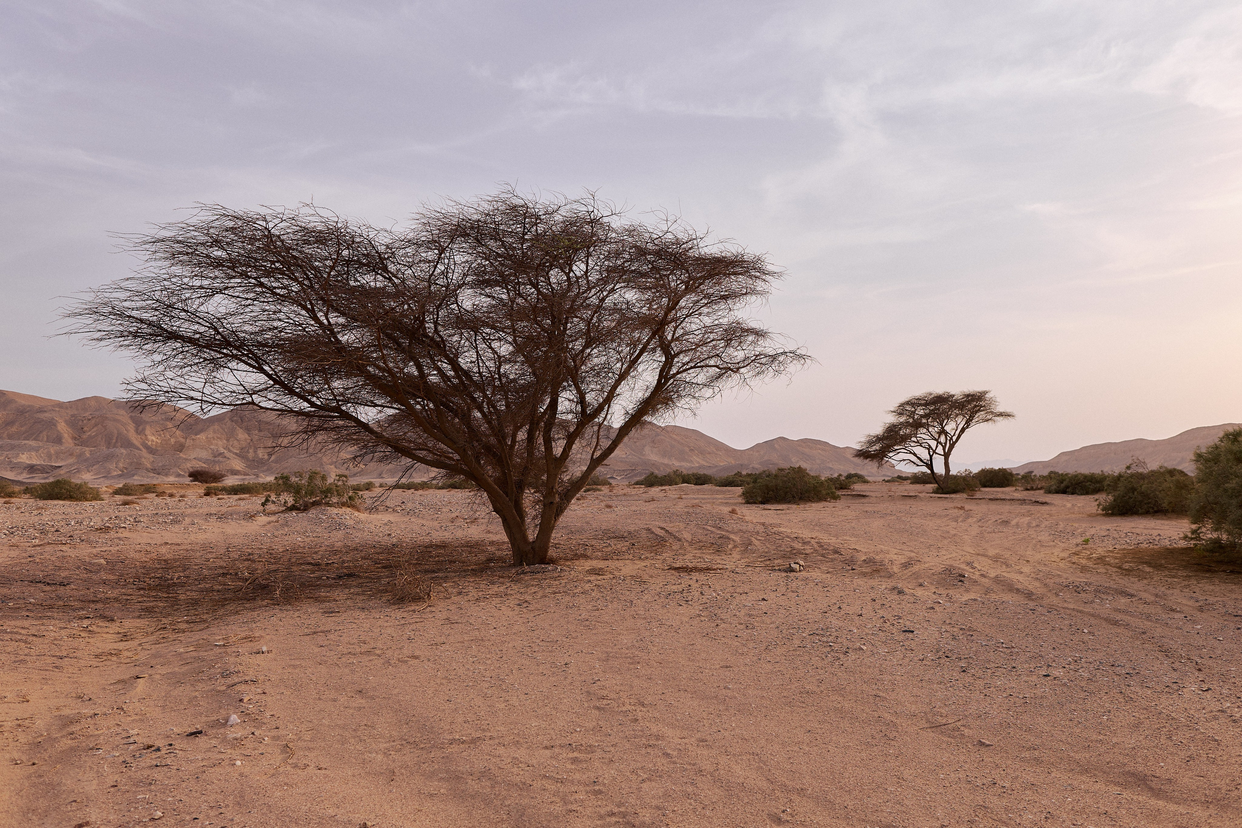 Улица горизонтальная. Jorgis — фотограф в Хургаде / обучение фотографии