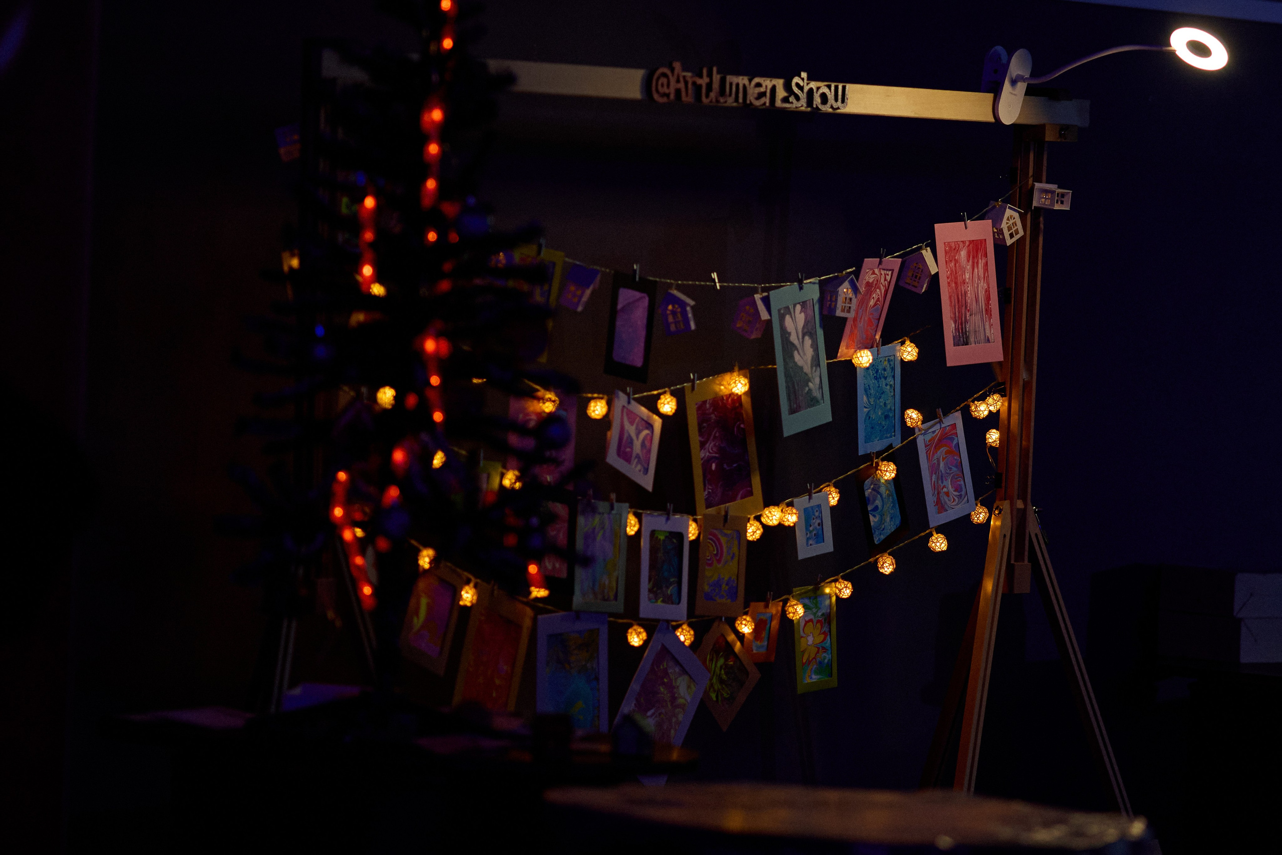 КОЧКА. Фотограф Айвазова Наталья Краснодар