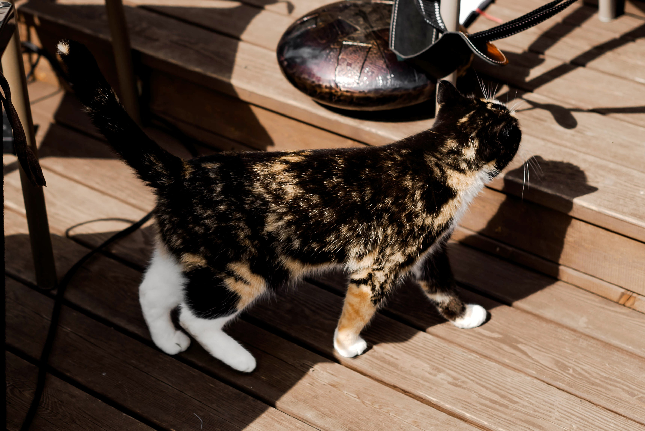 В стиле свободы. Свадебный и семейный фотограф в Новосибирске, Санкт-Петербурге, Москве