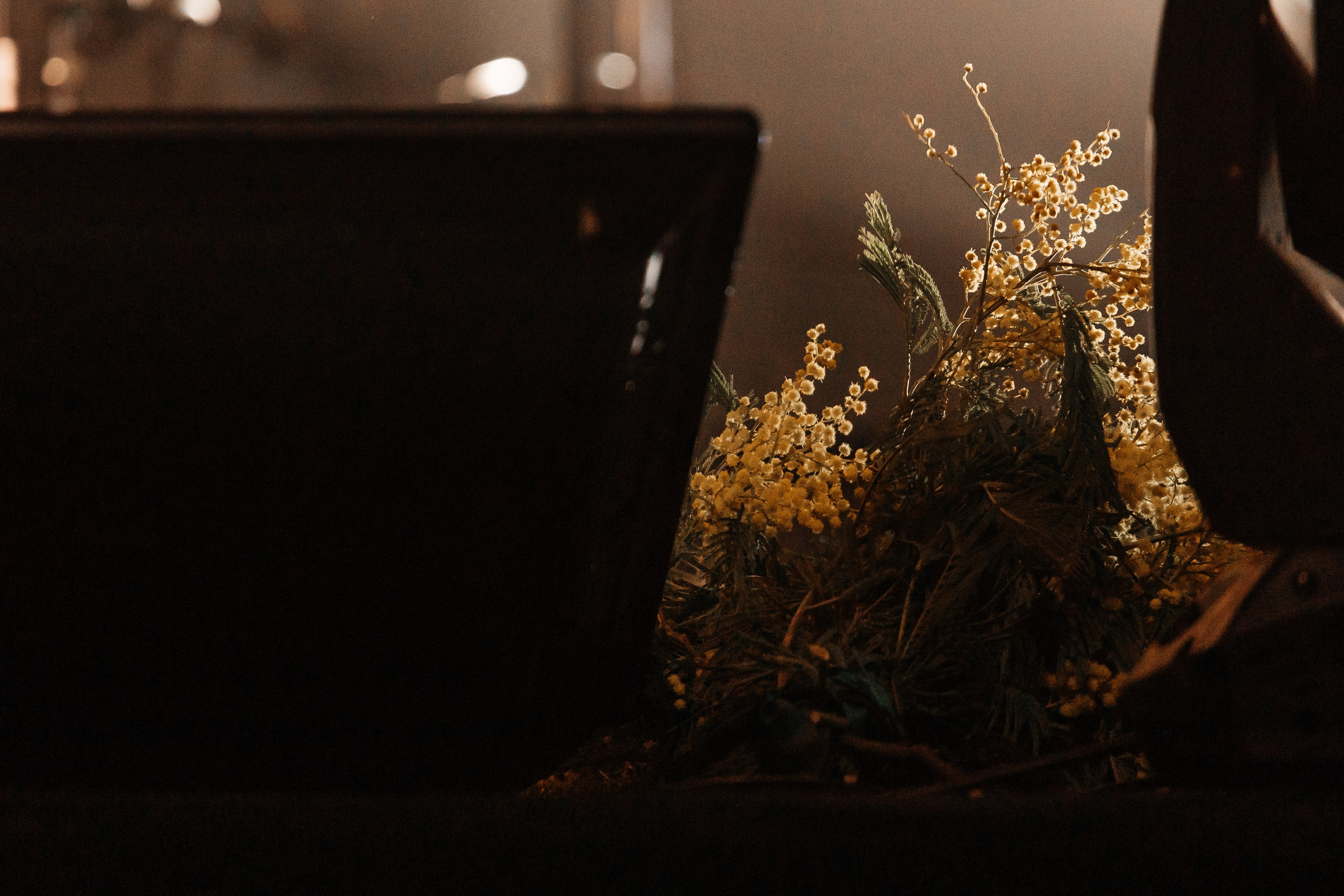 Концерт в Event Hall. Фотограф в Санкт-Петербурге Виктория Безверхая