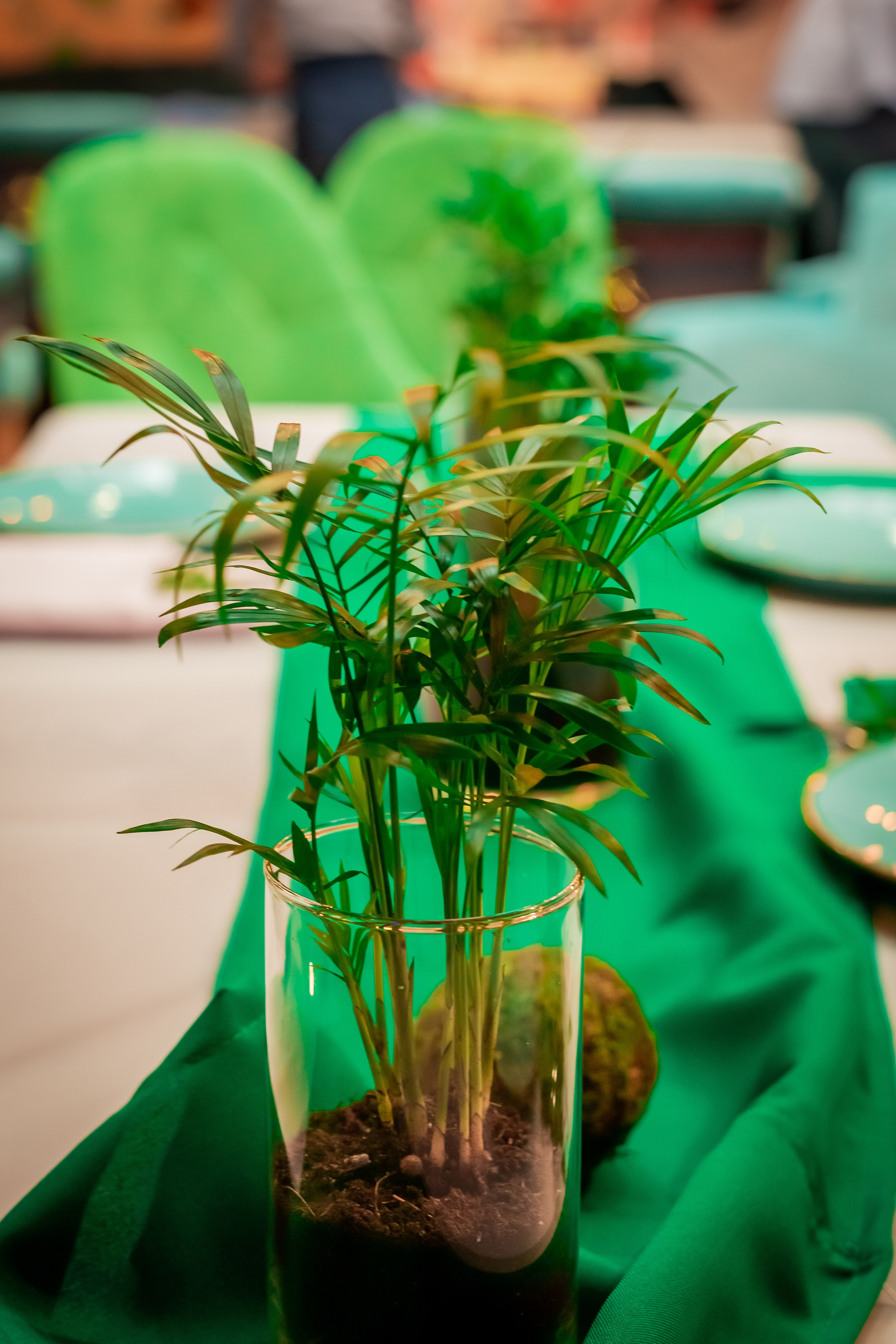 Наследники. Детский День Рождения. Фотограф Сергей Катаев