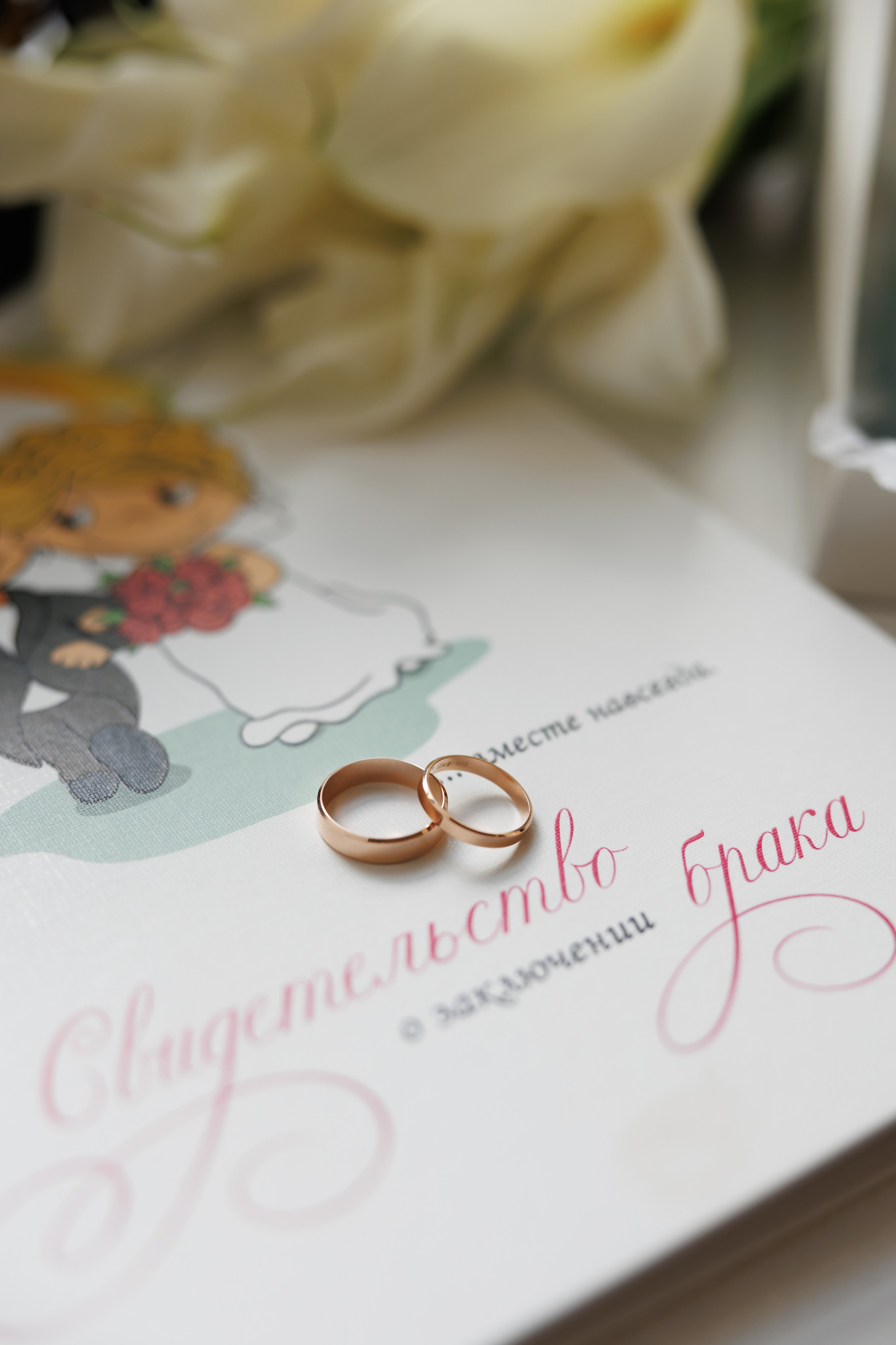 IVAN & SNEZHANA. Свадебный фотограф в Туле и Москве