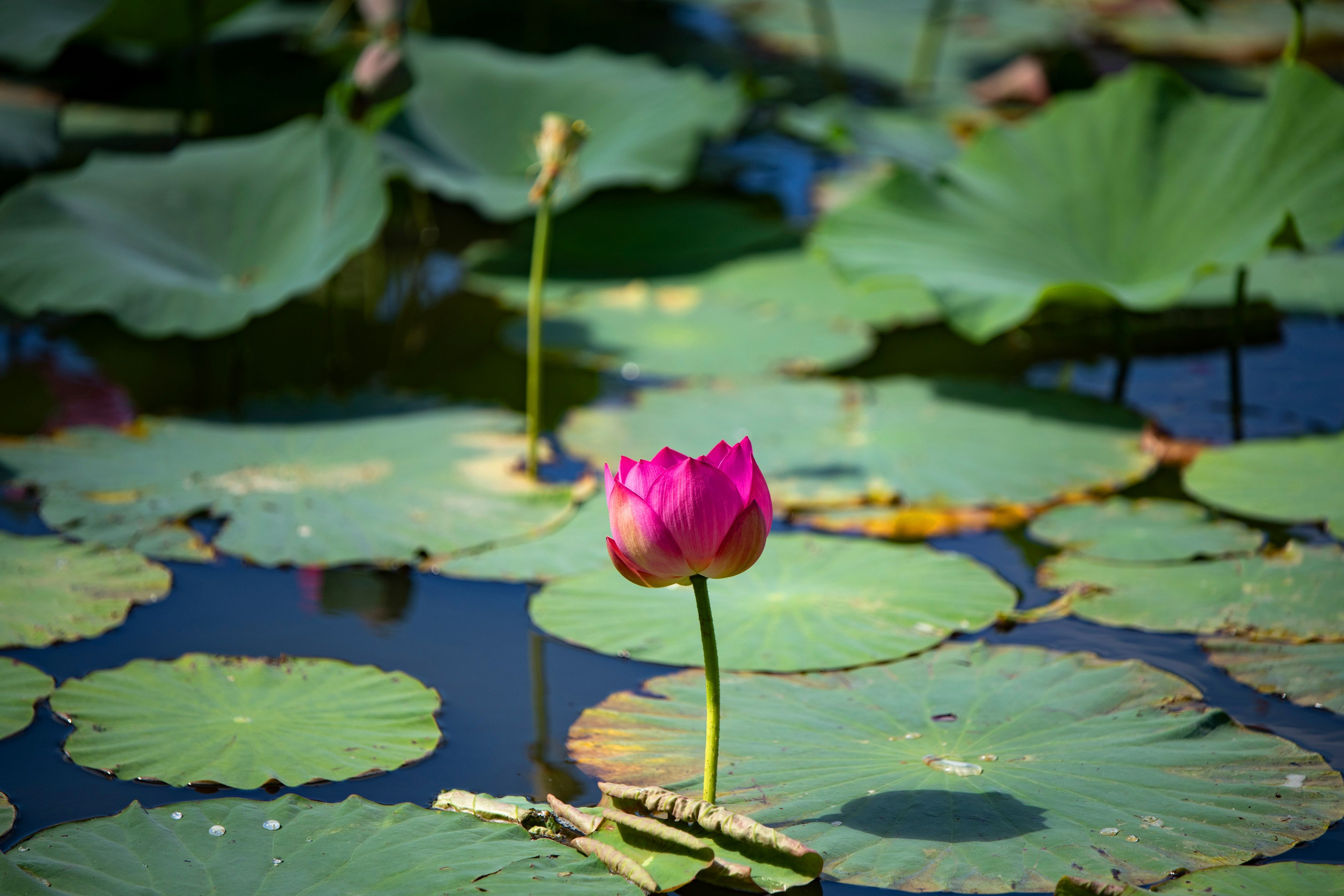 Природа Хабаровского края. Команда фотографов Кристины Ивановой