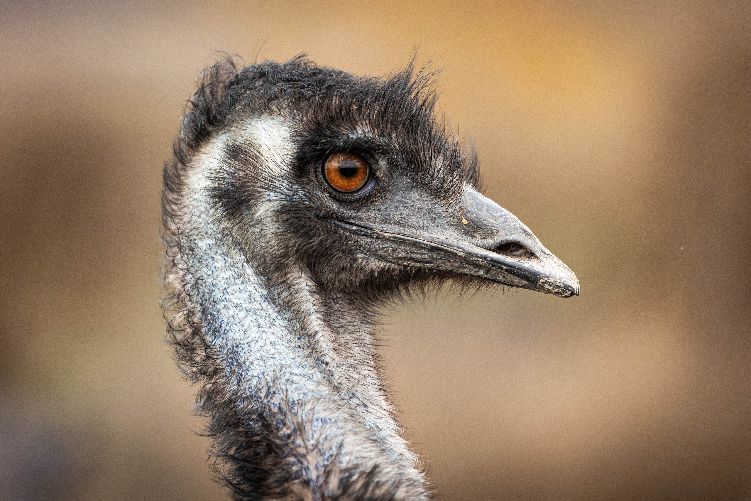 Зоопарк Малинки. Фотограф-АниМалист Анна Абрамова