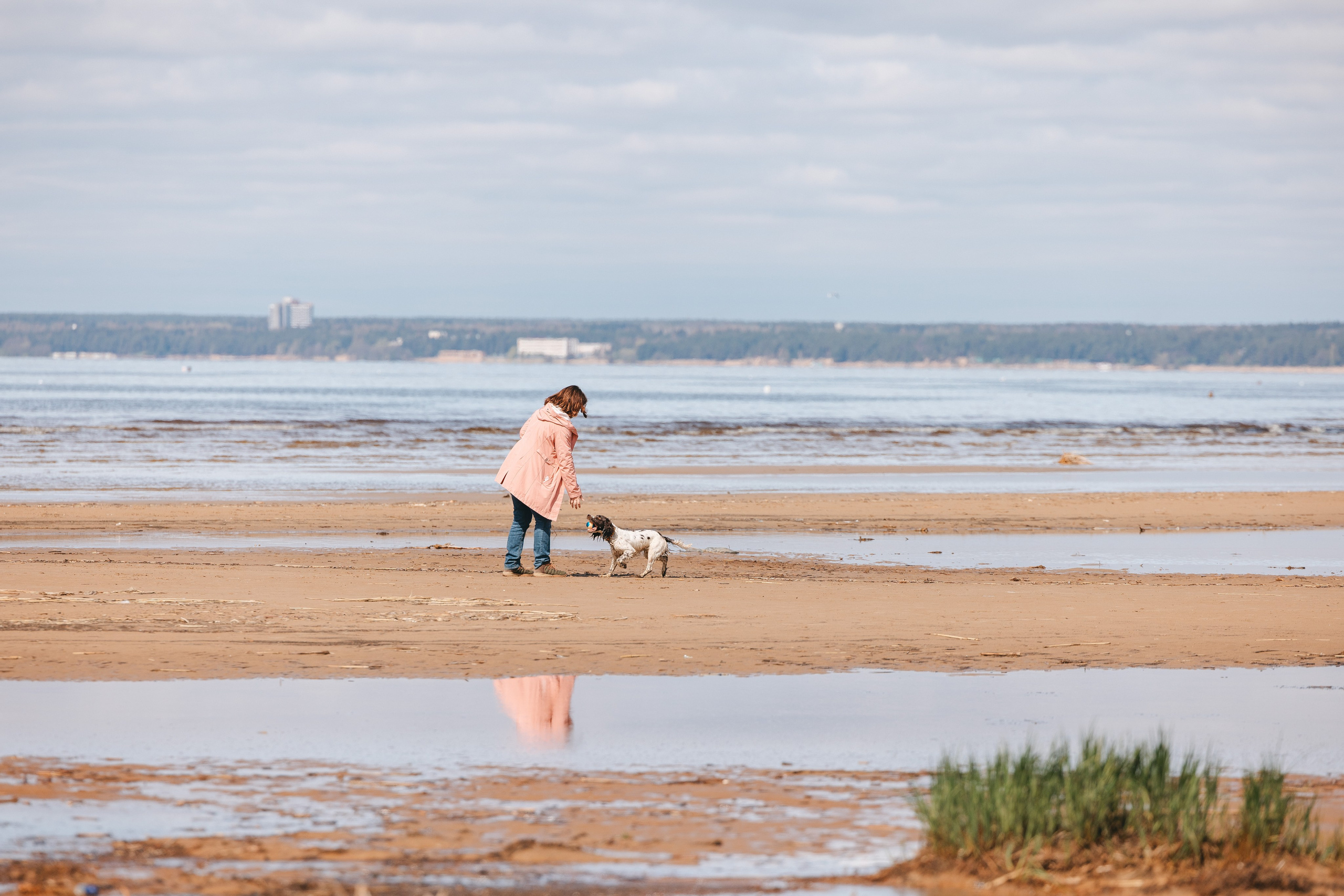 Спанимания. Фотограф анималист Осипчикова Мария