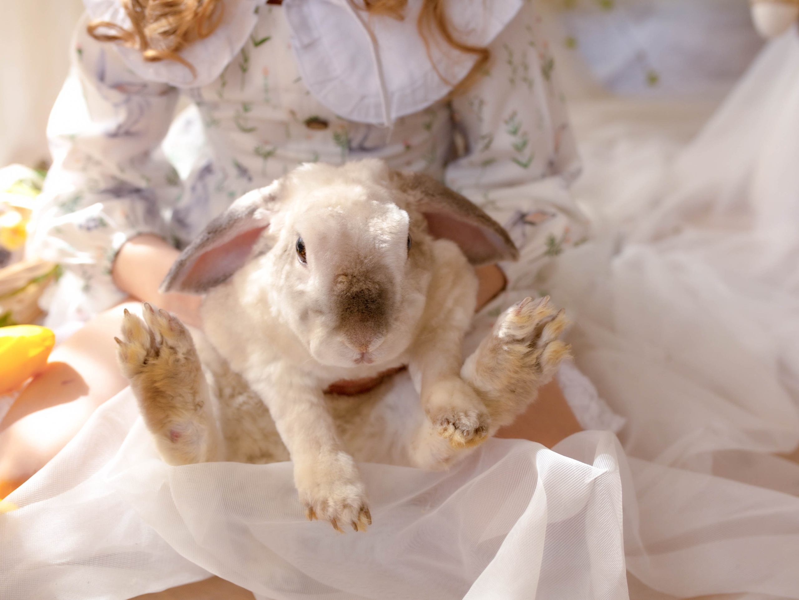 Детские фотосессии Липецк. Свадебный и семейный фотограф Виолетта в Липецке