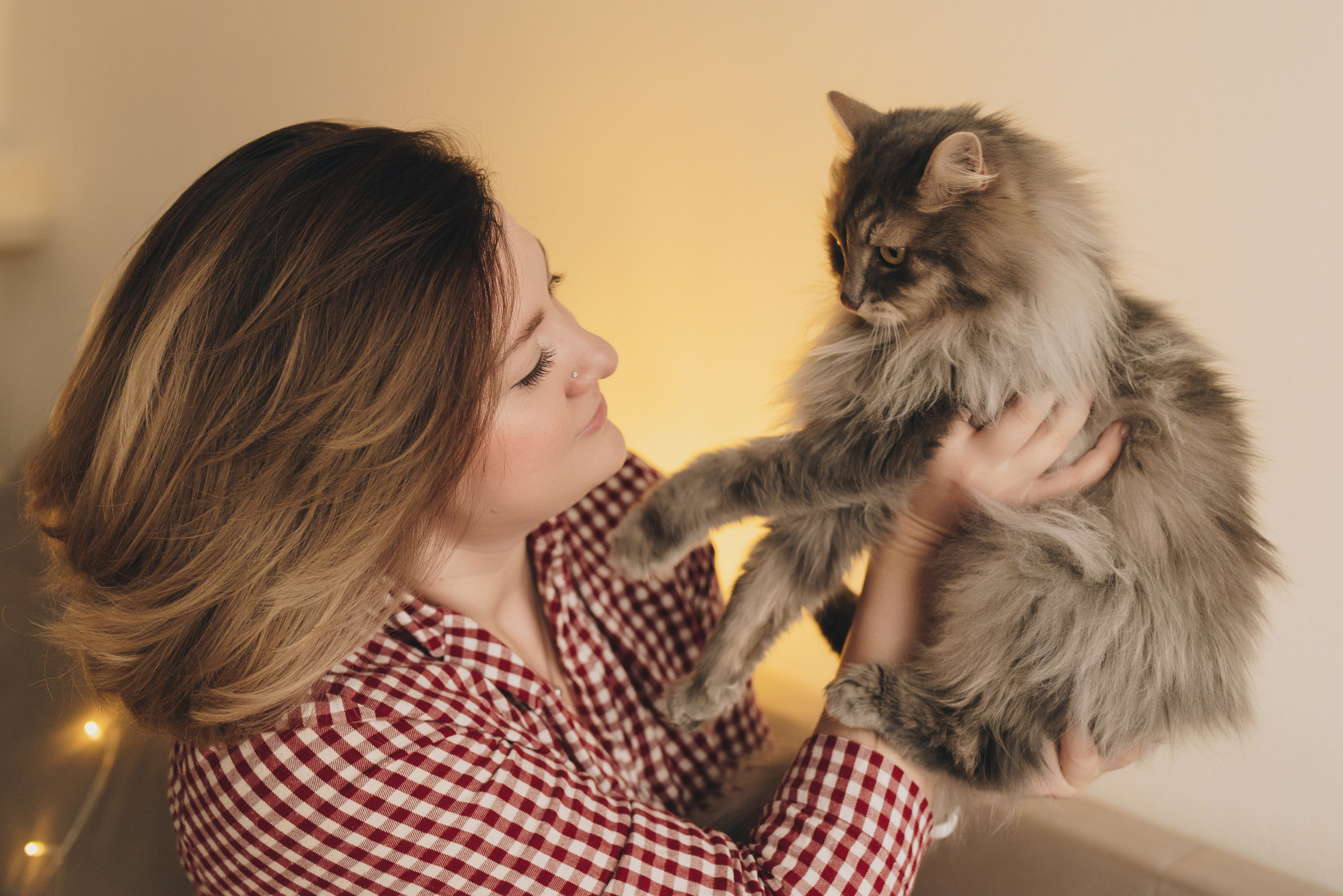 Vika & Kot. Natalia Finch Photography — Family, Kids & Pet Photographer in Chicago, IL