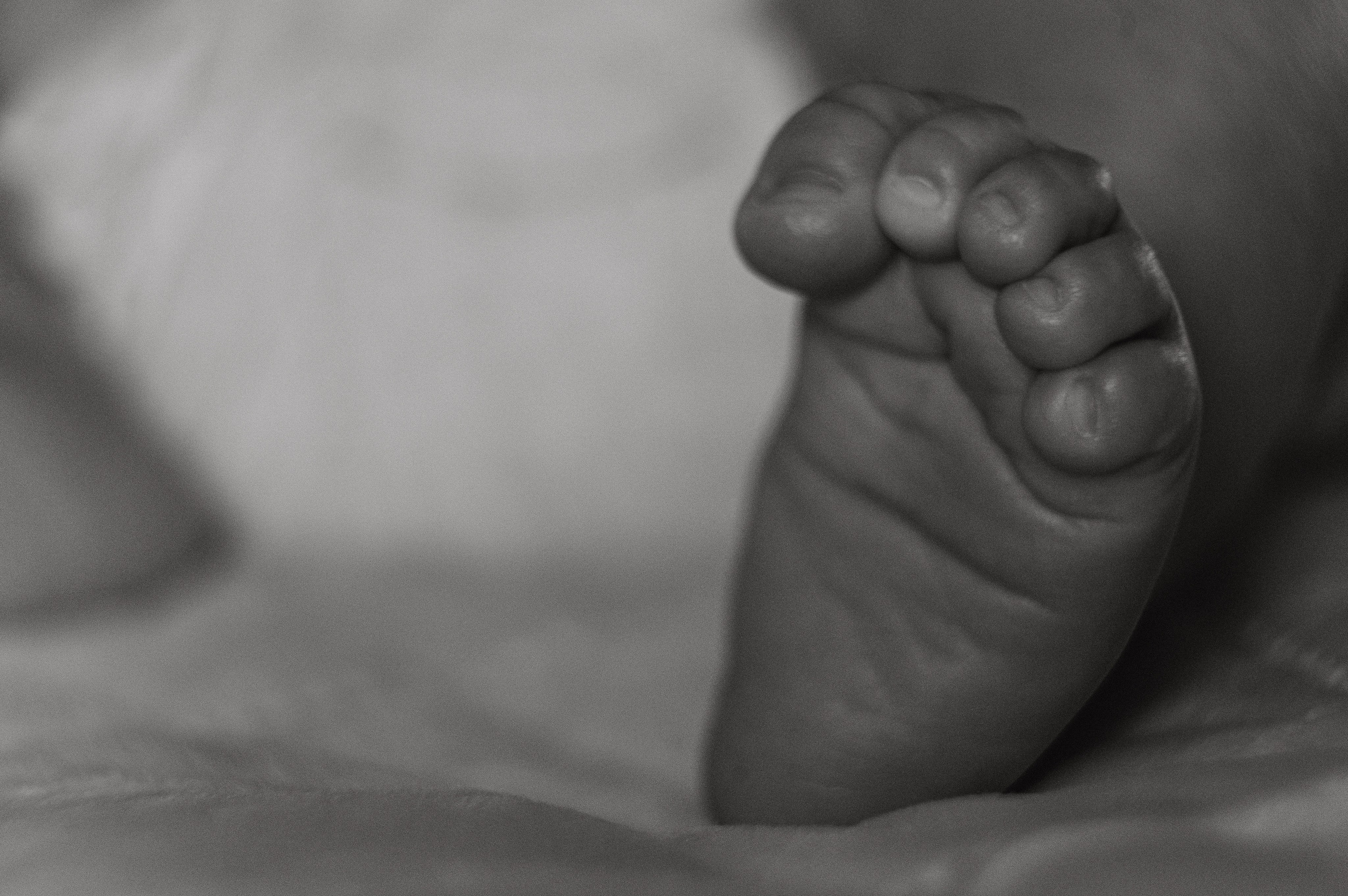 Иван, Ксения и Лев. Фотограф беременности и семьи, домашние съемки, Ньюборн