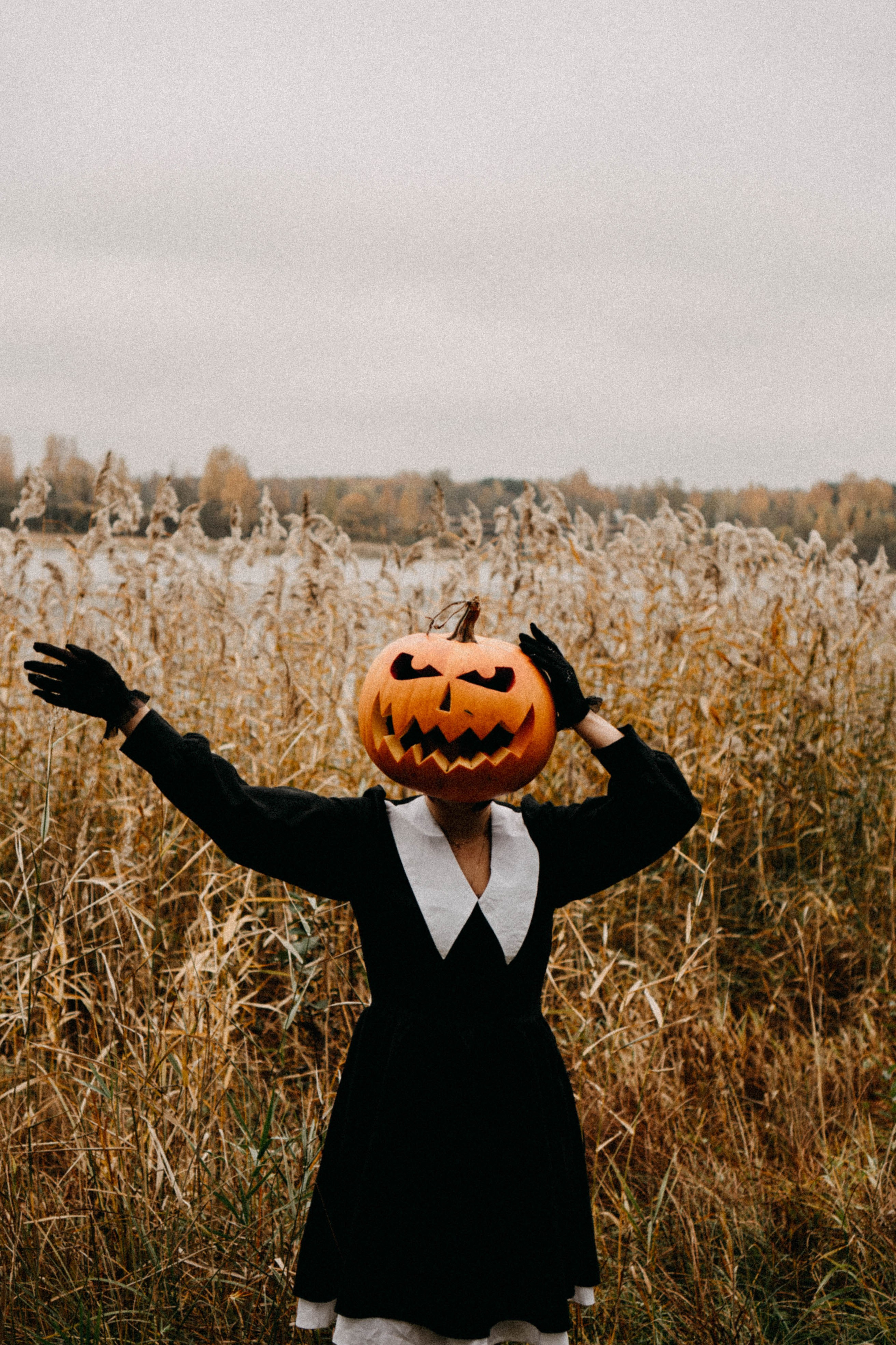 Осеняя. Профессиональный фотограф, Санкт-Петербург — Виктория Богомолова