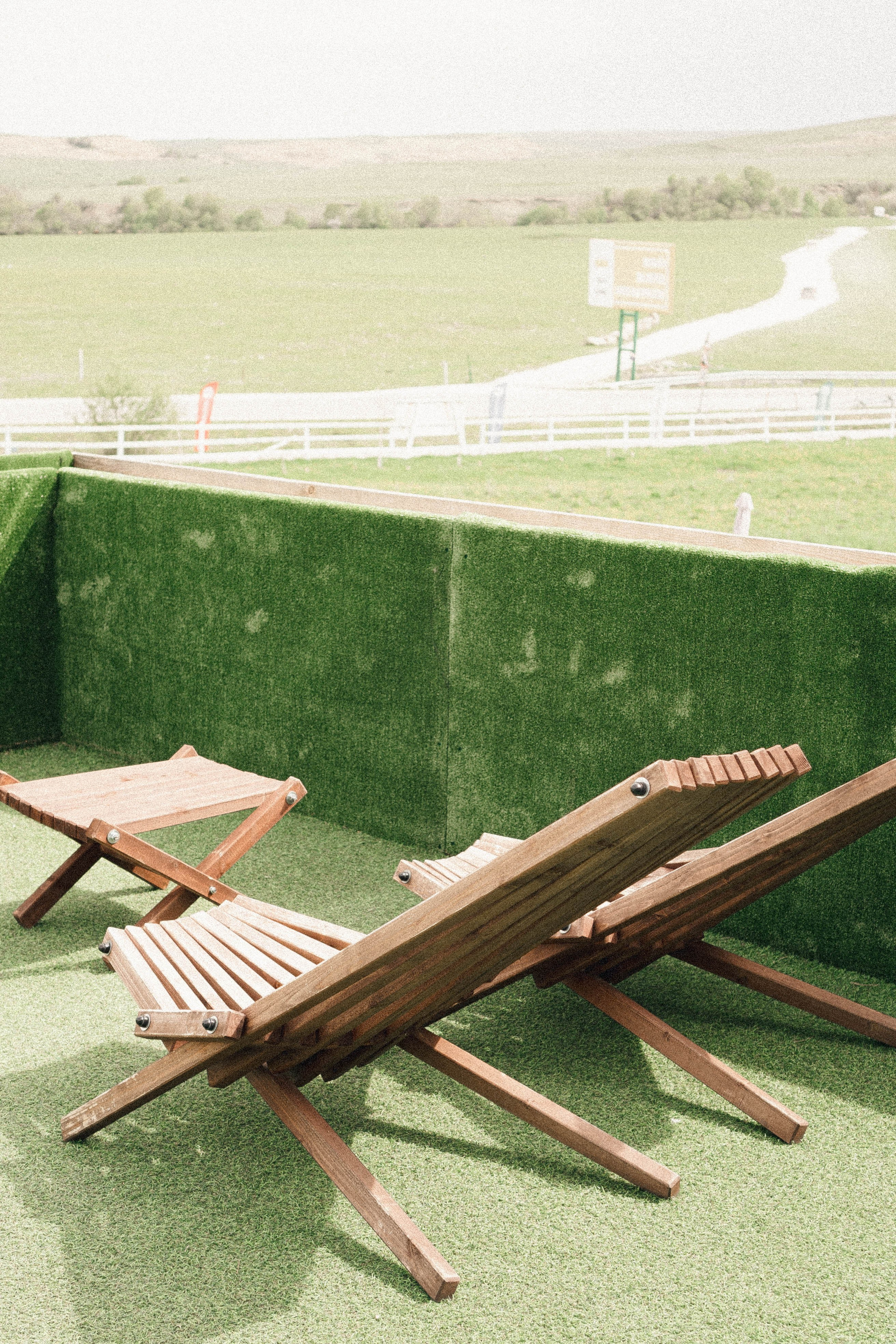 Ферма Альпак. Профессиональный фотограф, Санкт-Петербург — Виктория Богомолова