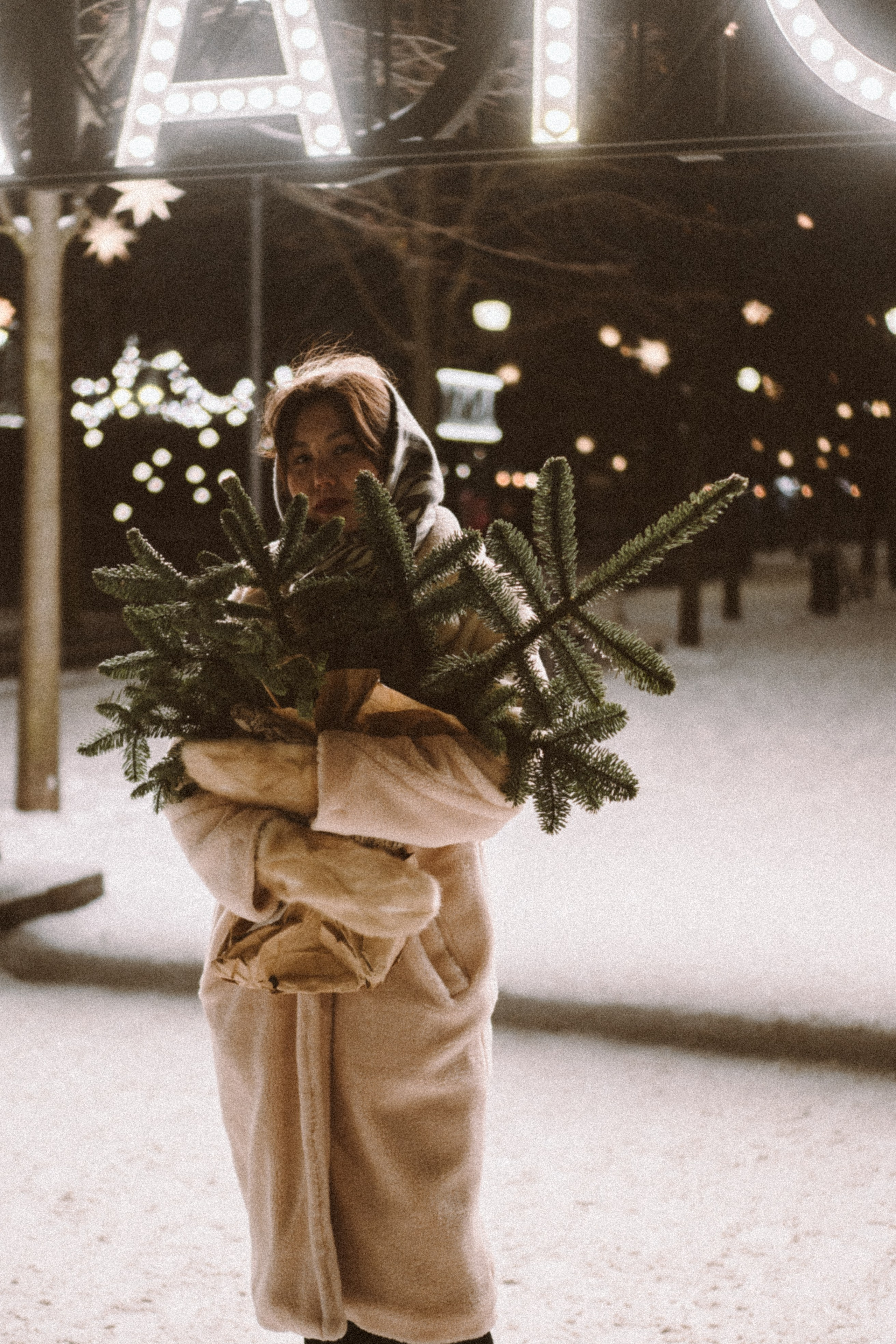 Зимняя сказка в Новой Голандии. Профессиональный фотограф, Санкт-Петербург — Виктория Богомолова