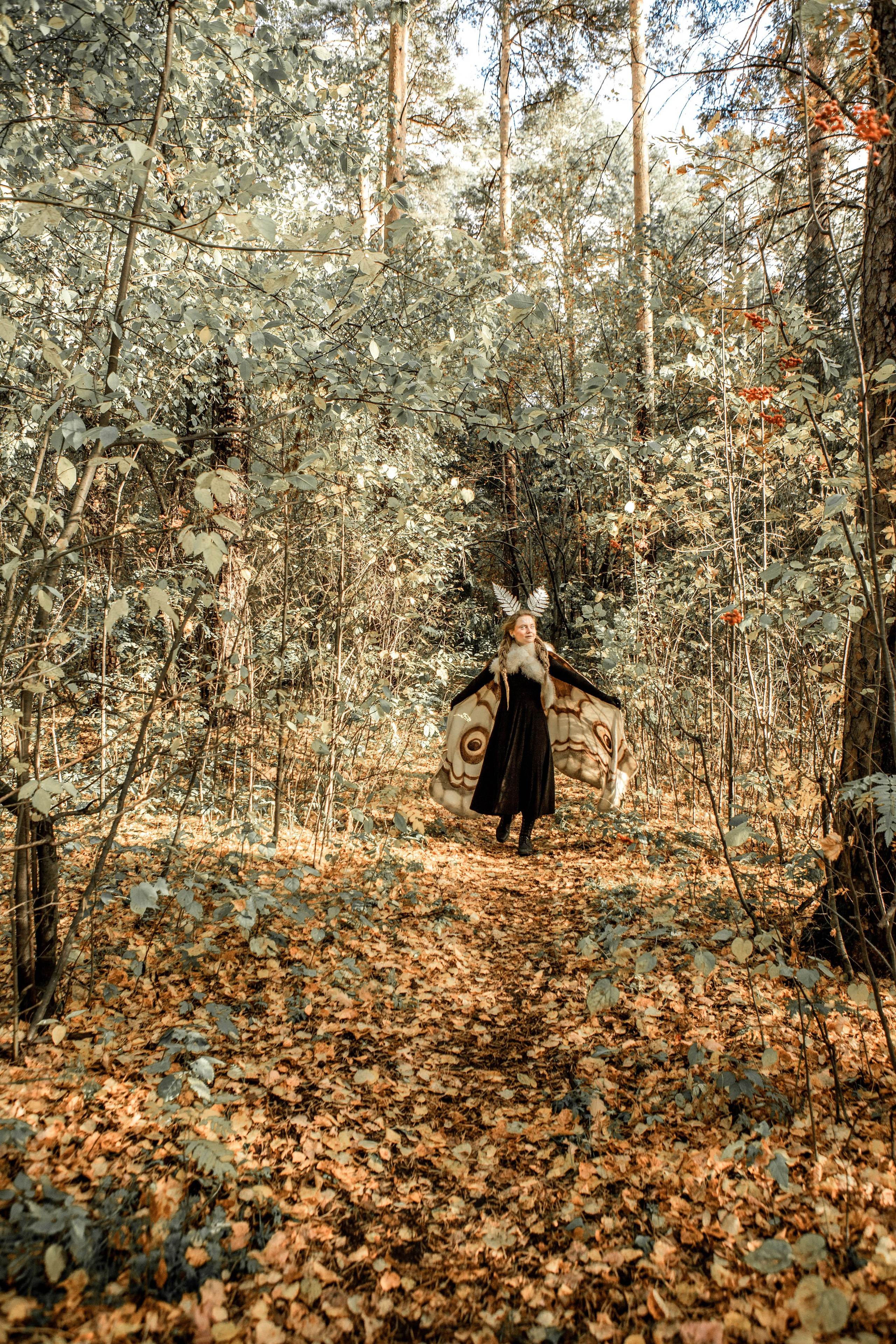 Волшебный лес. Фотограф Екатерина Голицына