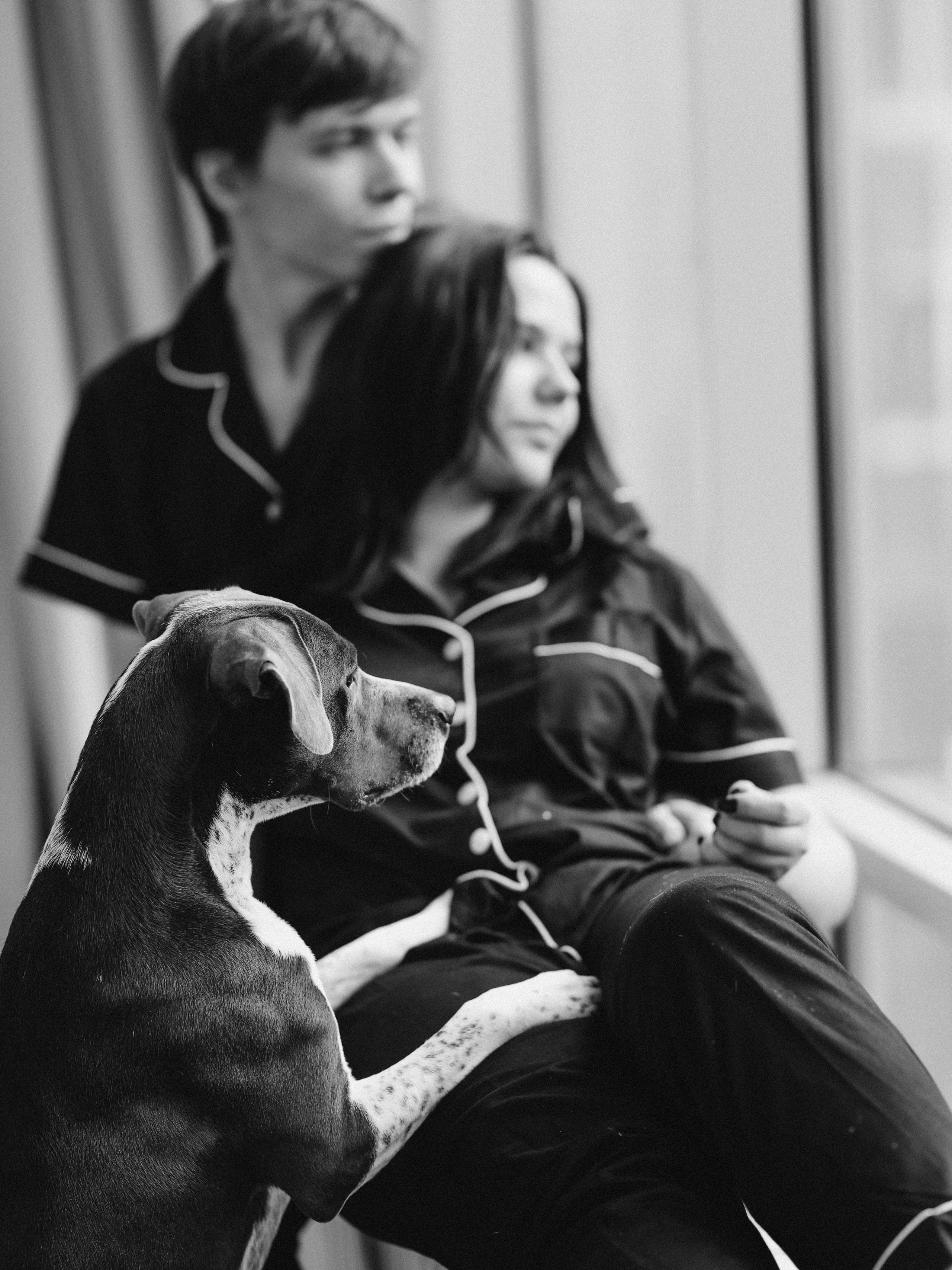 Тортик Даша и Никита. Фотограф-анималист в Москве Кириллова Татьяна