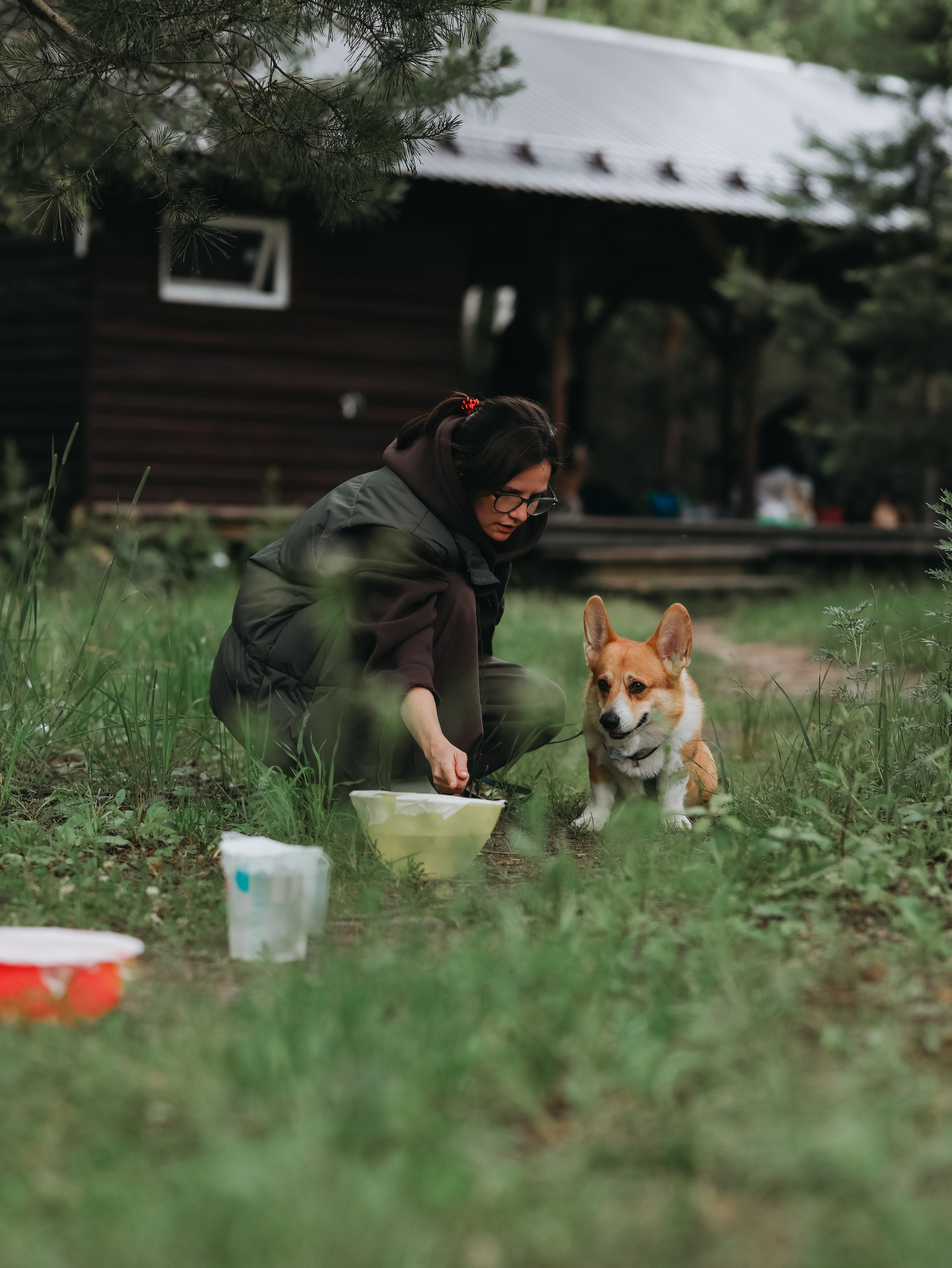 Лагерь ноузворк. Фотограф-анималист в Москве Кириллова Татьяна