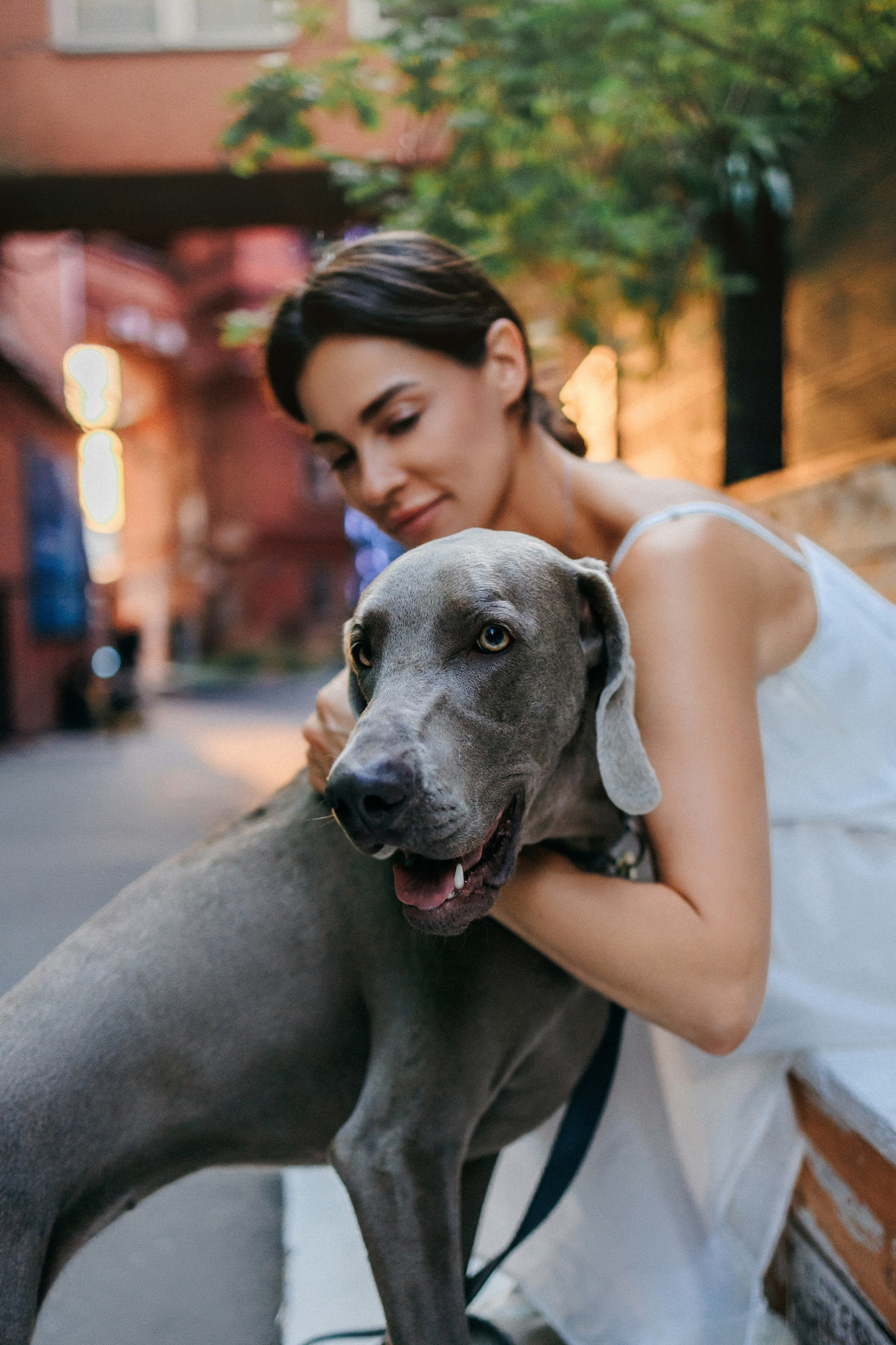 Соня и Майли. Фотограф-анималист Елена Радченко, Москва