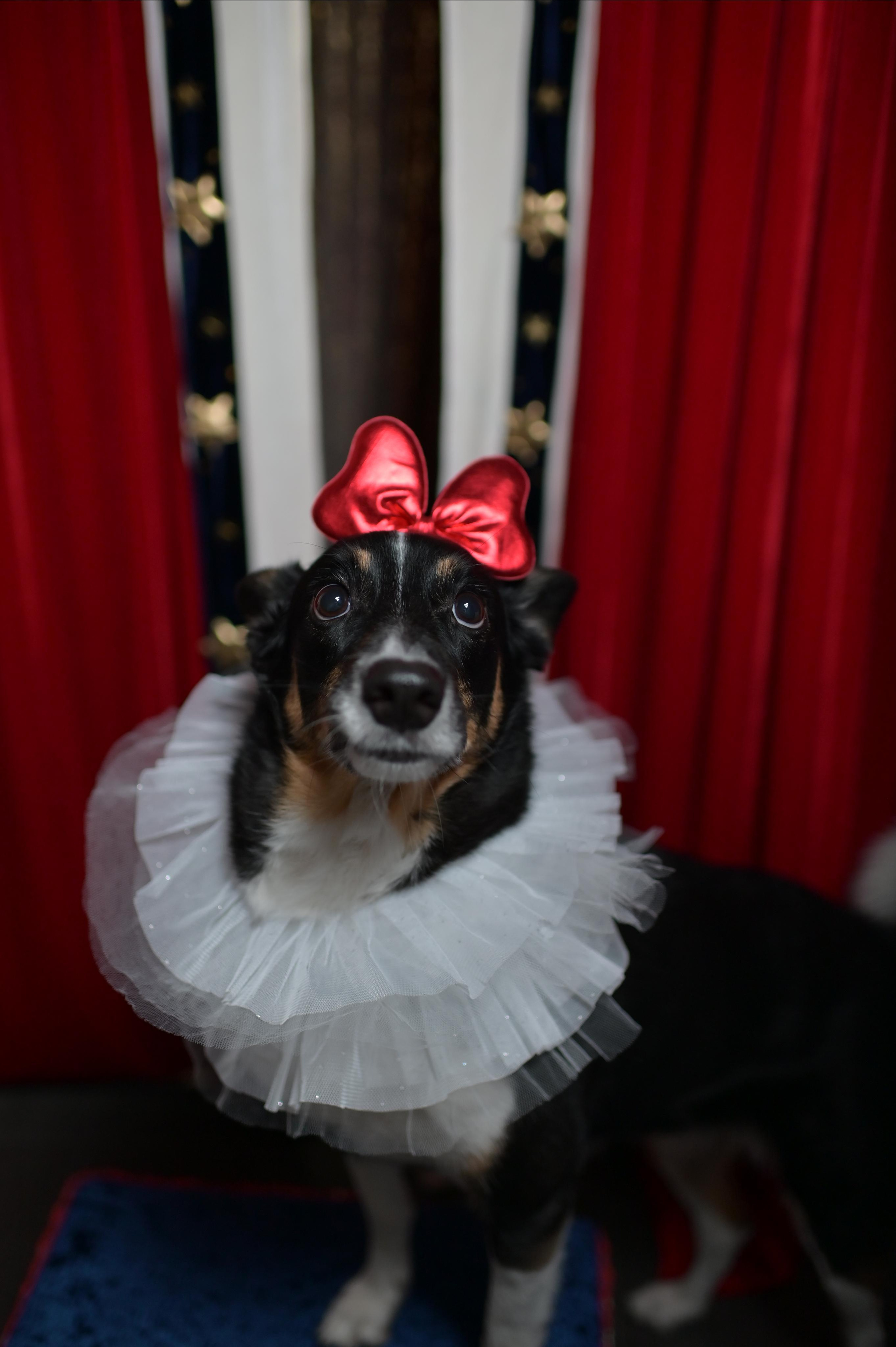 Фотопроект Цирк. ZDARONOKIA Репортажный фотограф