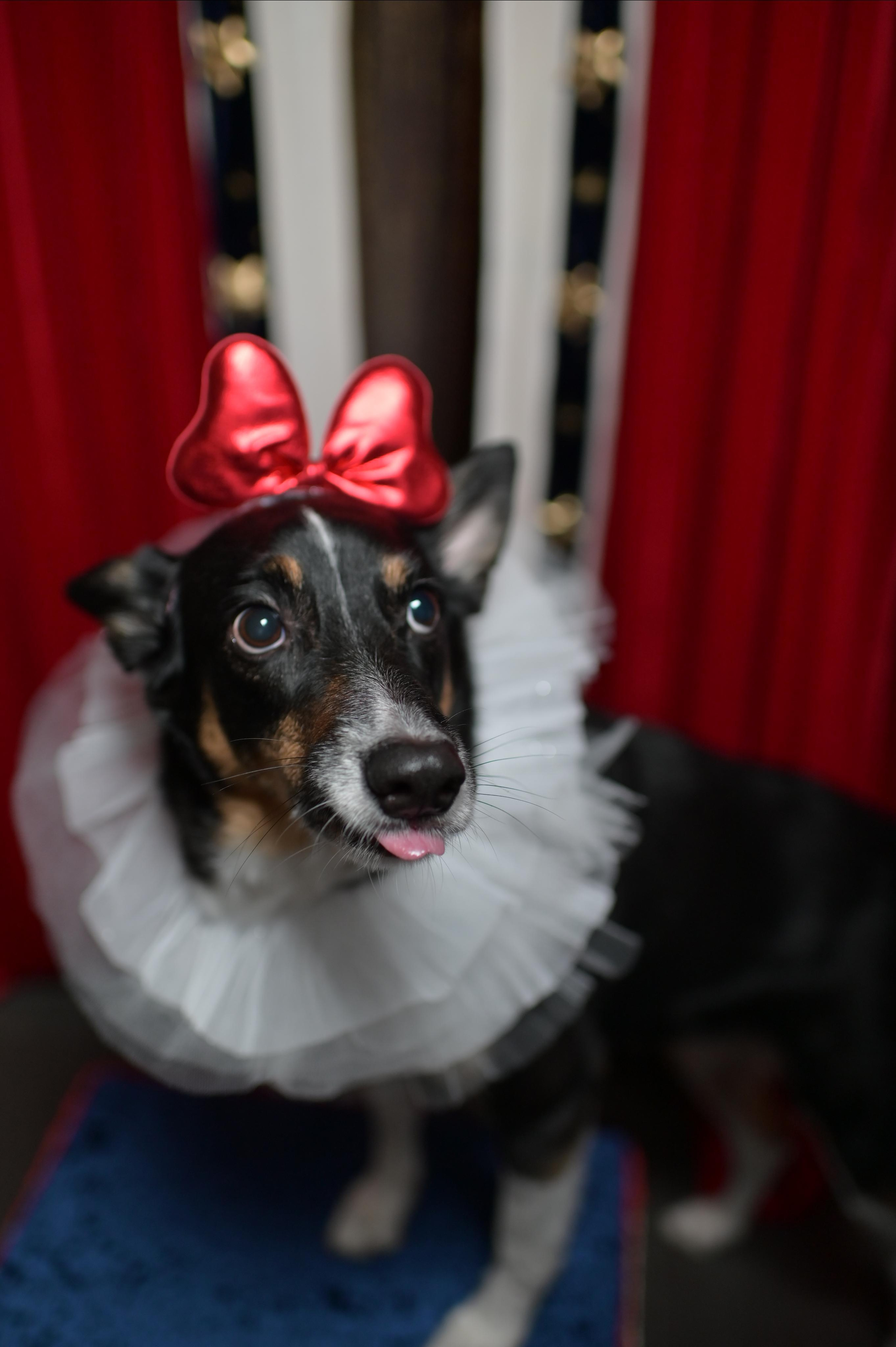 Фотопроект Цирк. ZDARONOKIA Репортажный фотограф