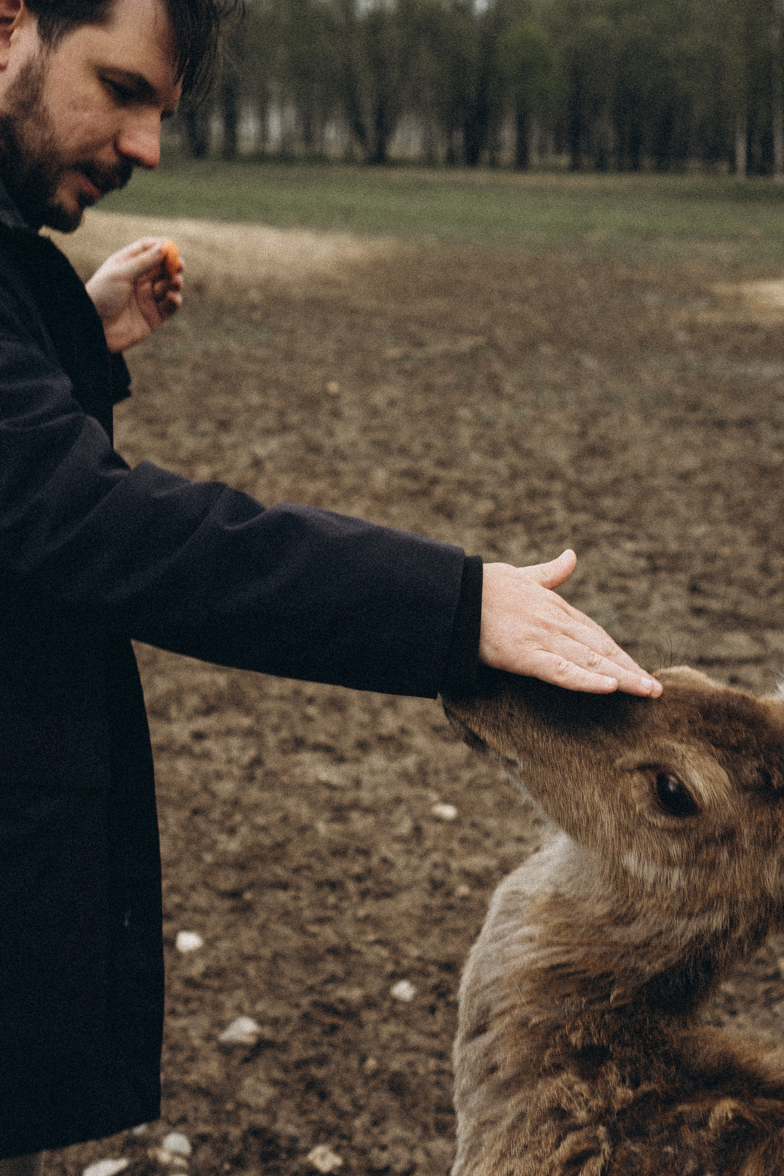 ОЛЕНЬЯ ФЕРМА В ТВЕРИ. Профессиональный фотограф, Санкт-Петербург — Виктория Богомолова
