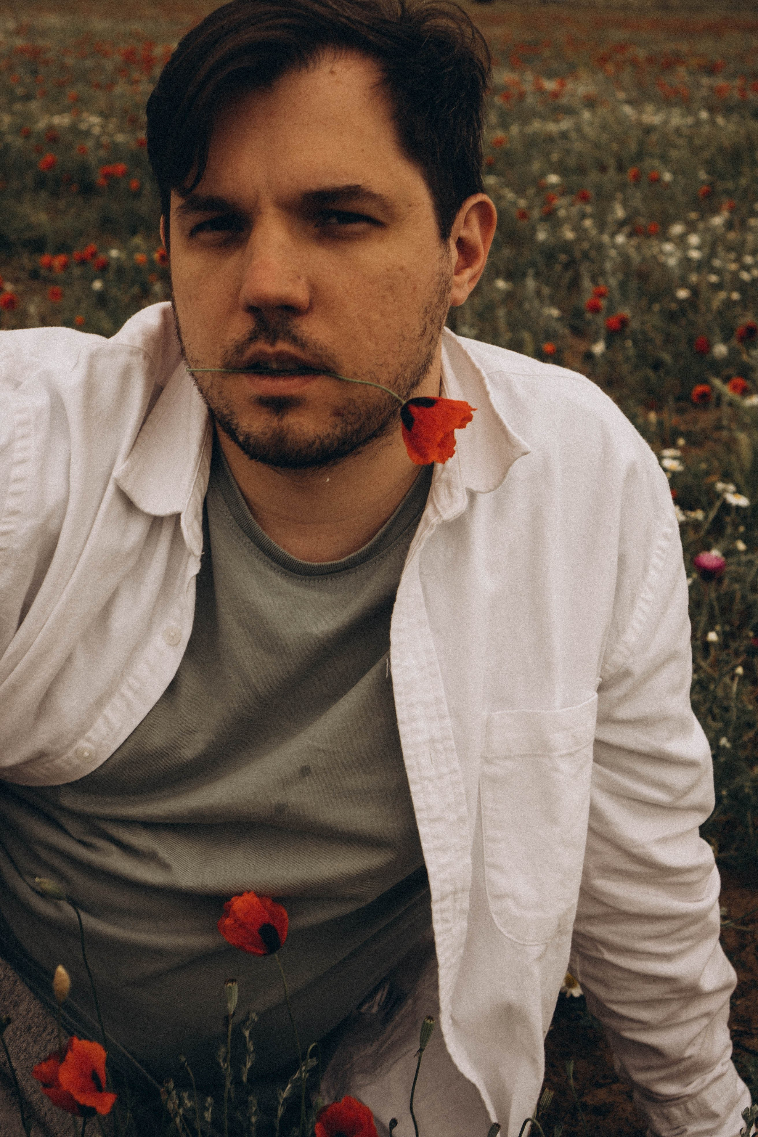 Маки. Профессиональный фотограф, Санкт-Петербург — Виктория Богомолова