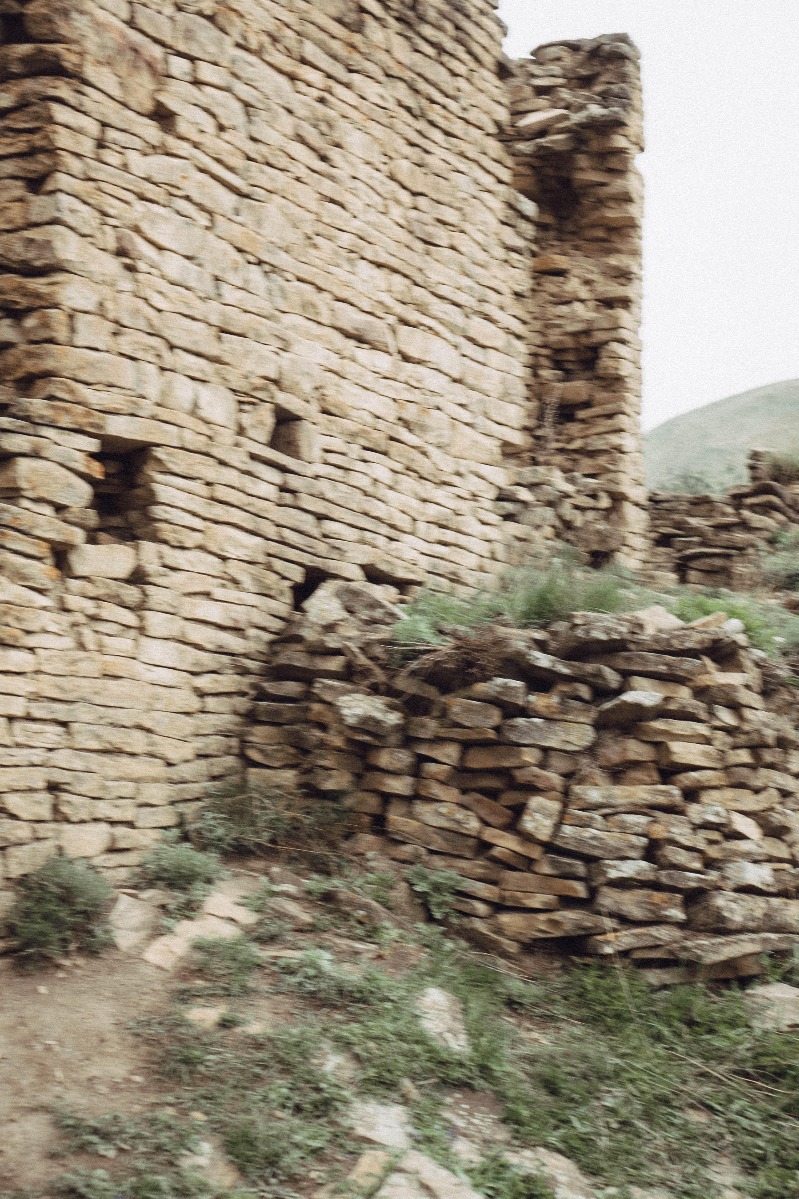 Кавказ. Профессиональный фотограф, Санкт-Петербург — Виктория Богомолова