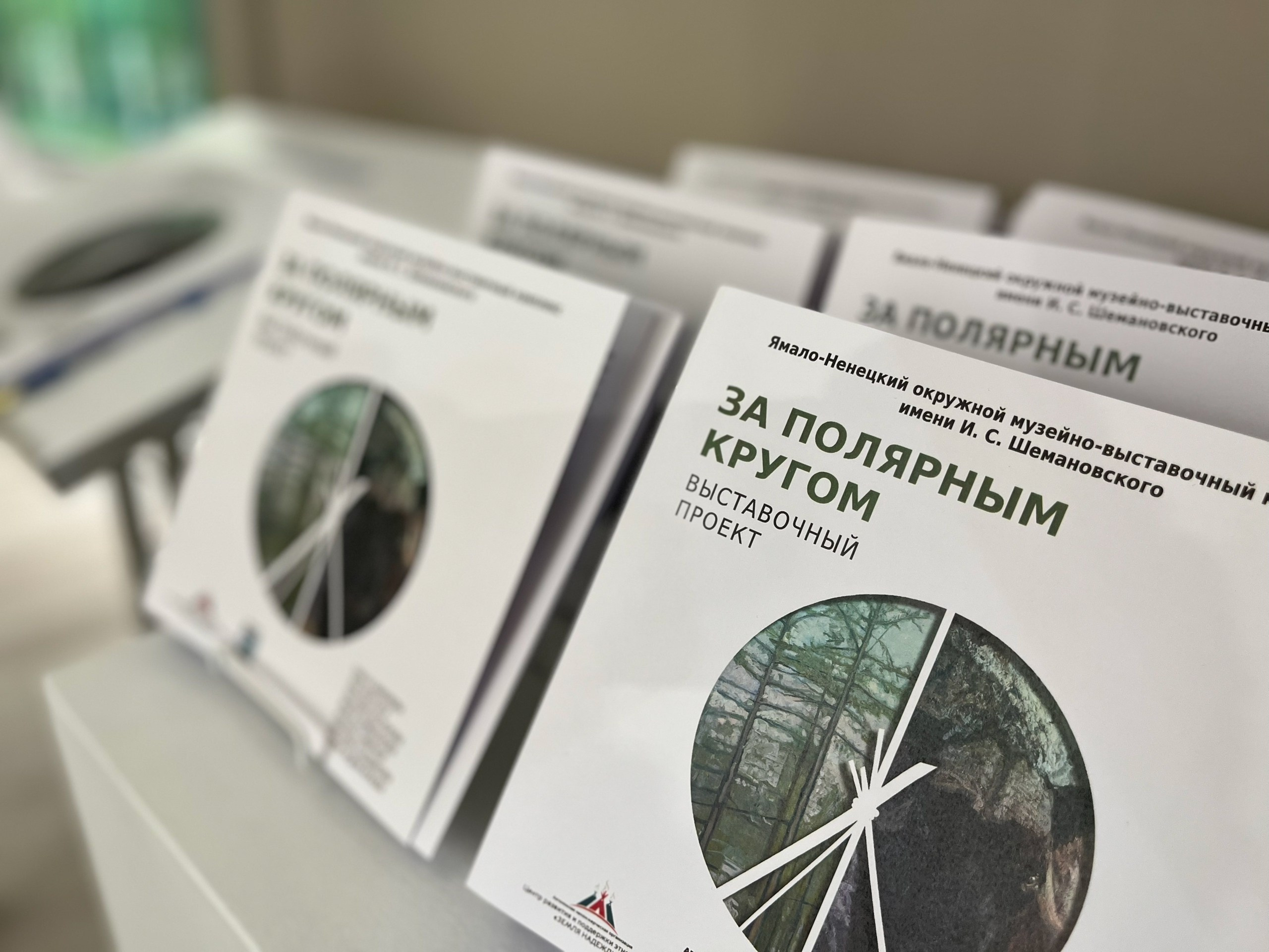 За Полярным кругом. Ефремова Ольга. Художник